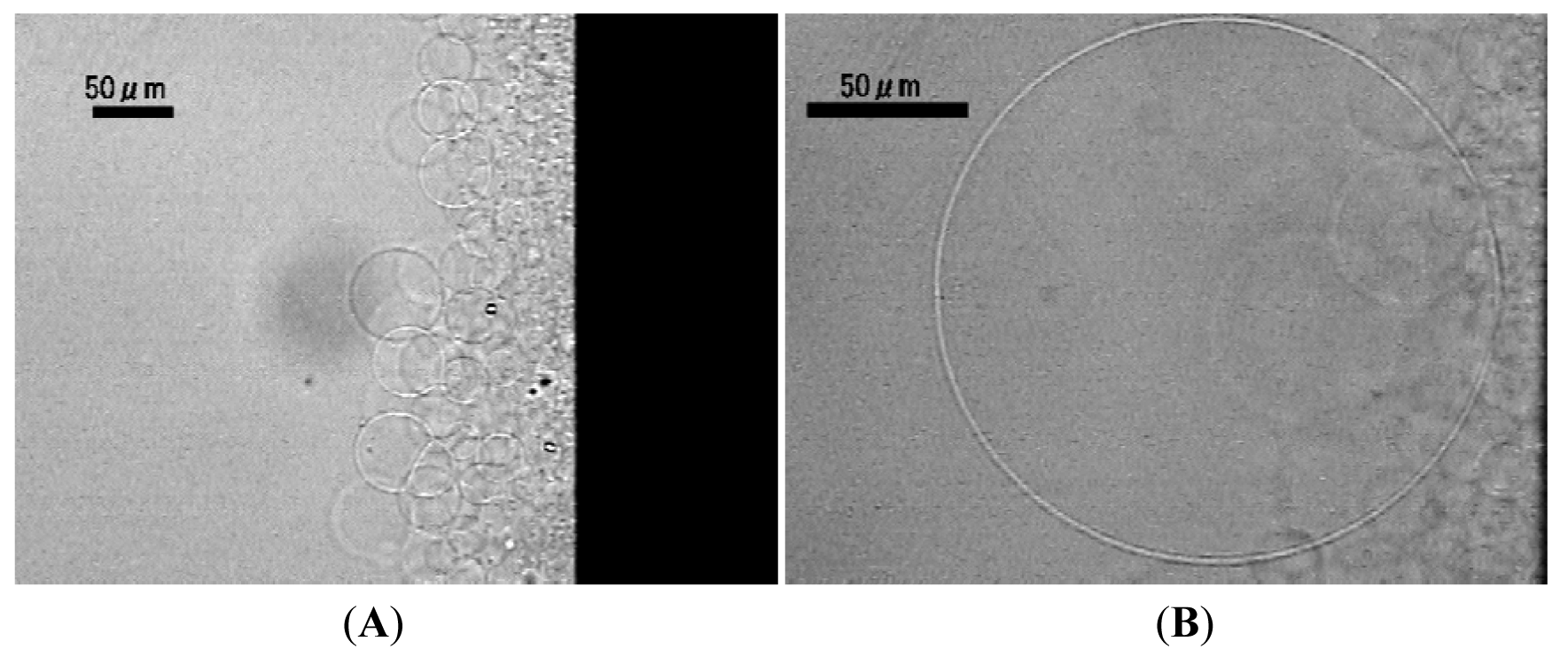 Membranes 01 00345f6 1024