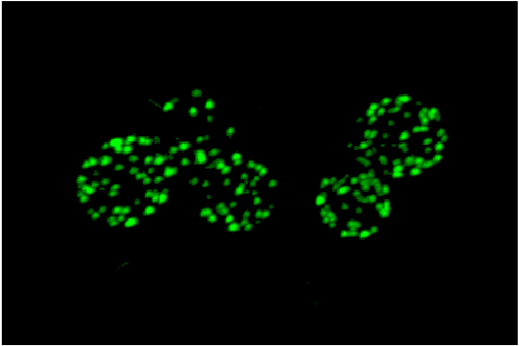 Membranes 01 00394f1 1024