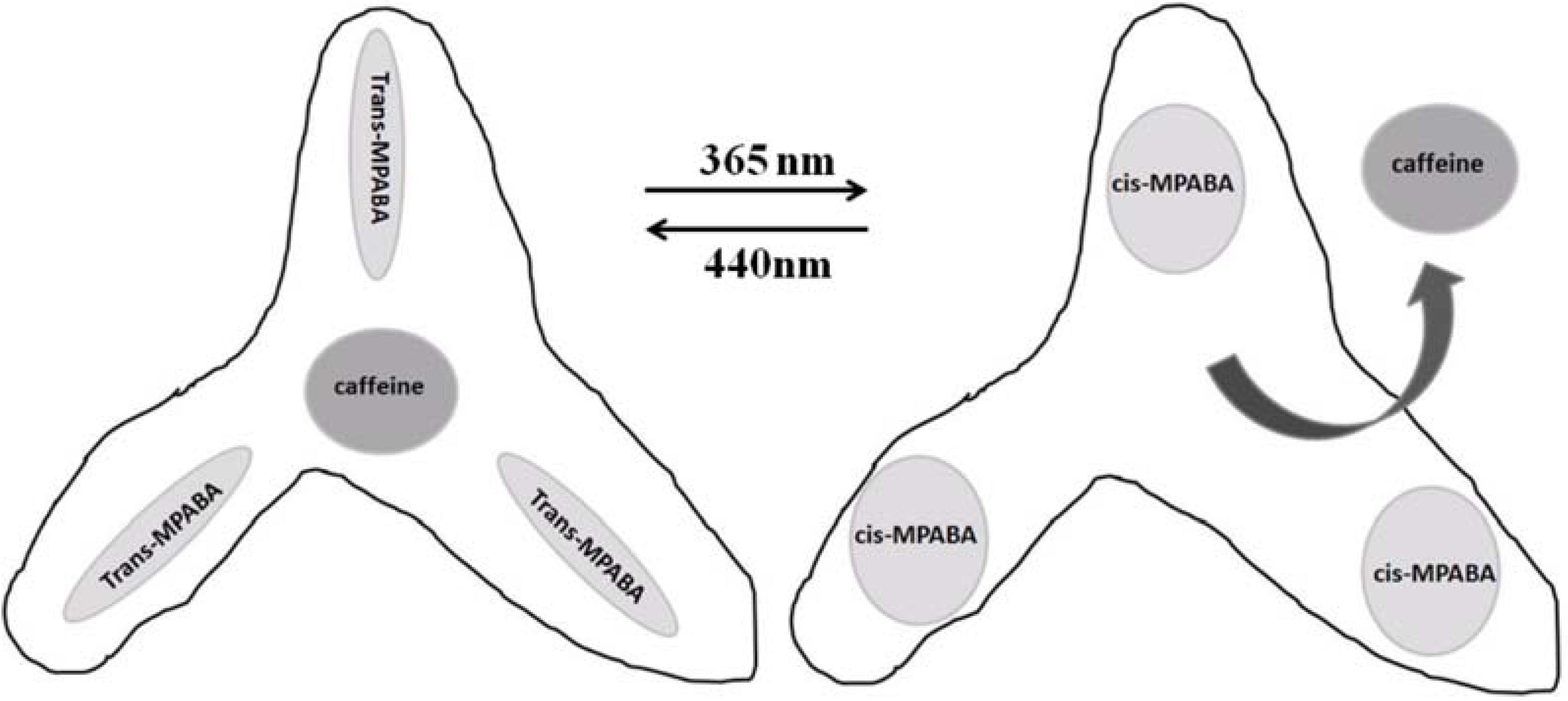Membranes 02 00134 g020