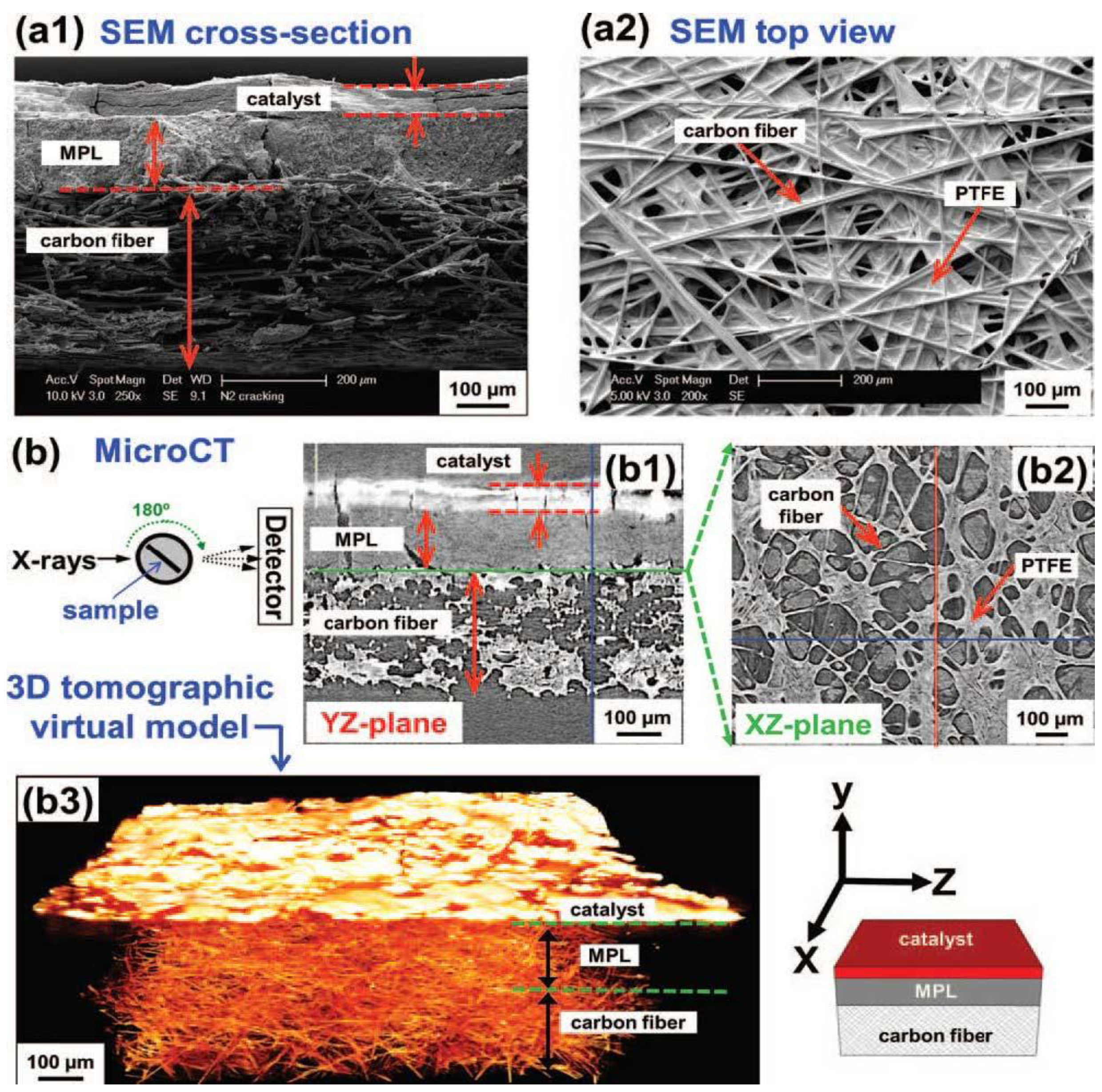 Membranes 02 00510 g006 1024