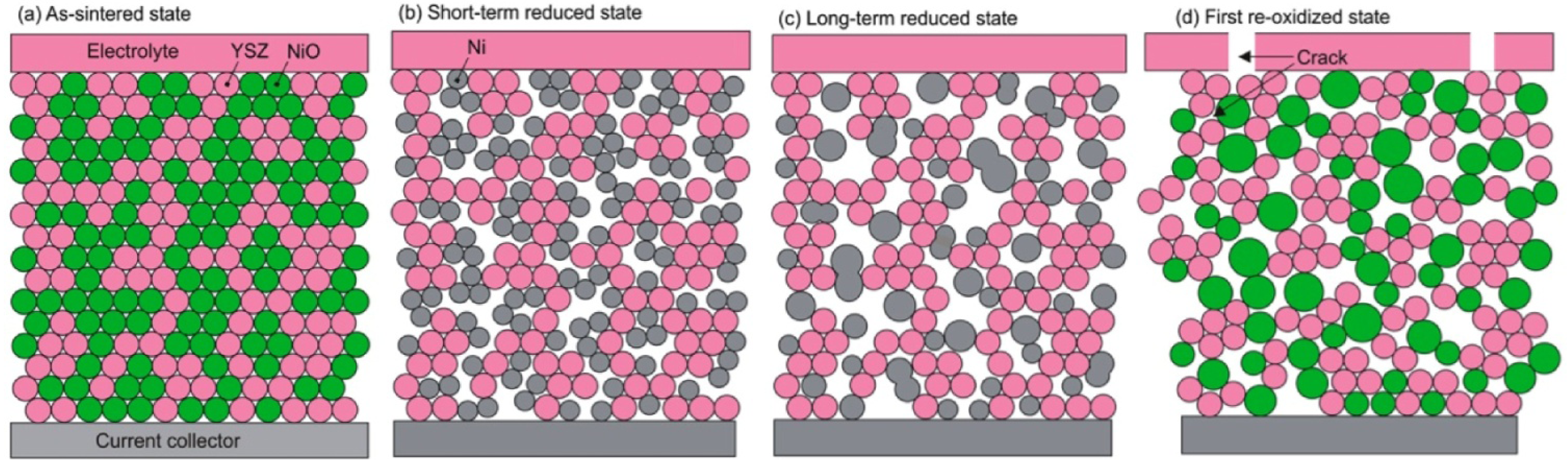 Membranes 02 00585 g001