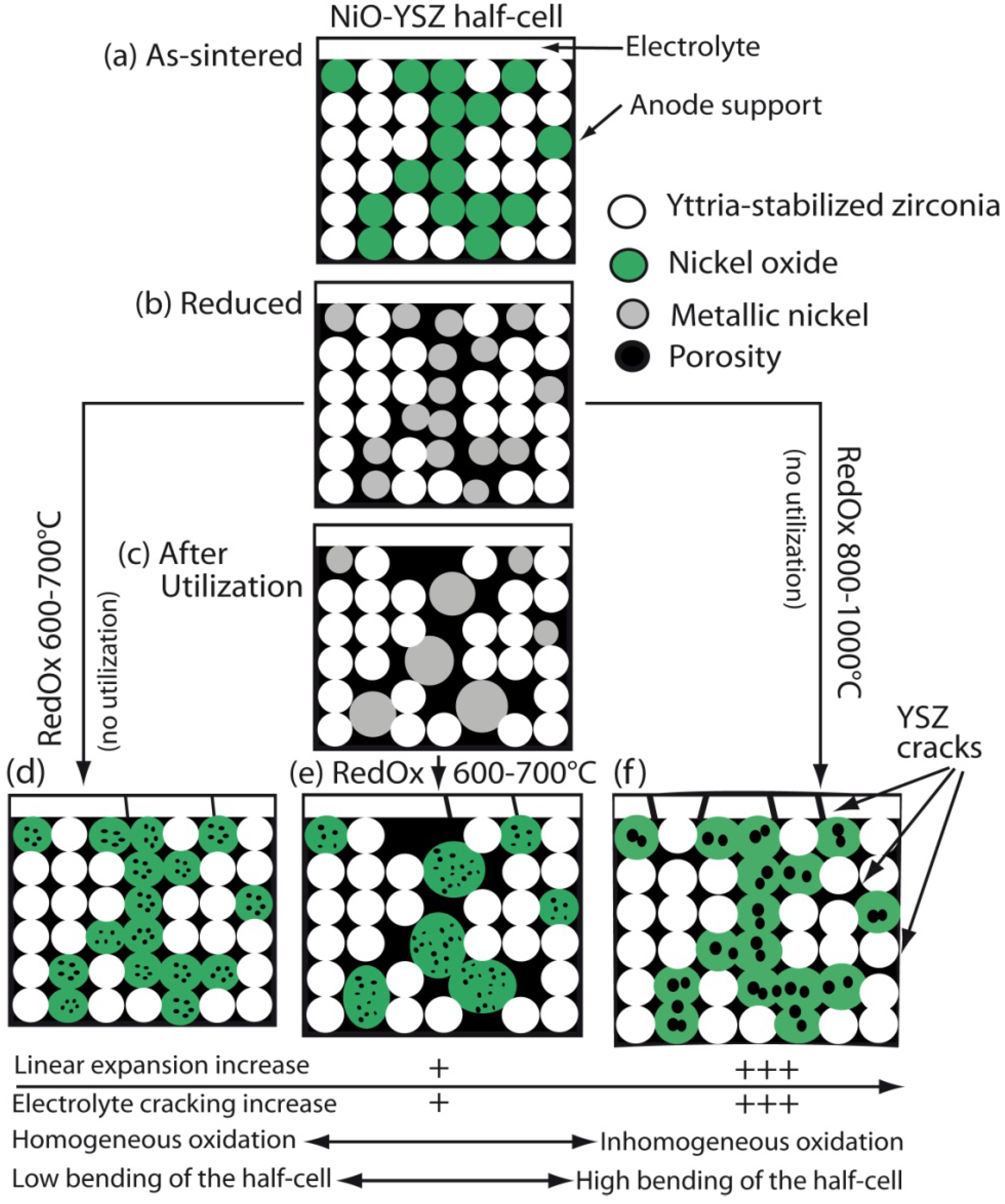 Membranes 02 00585 g035