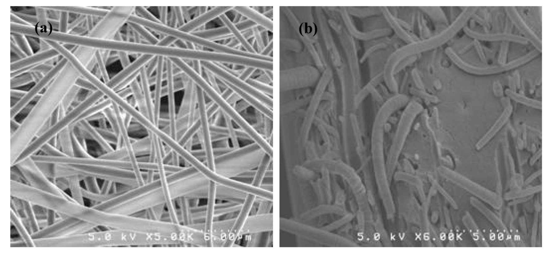 Membranes 02 00855 g009 1024