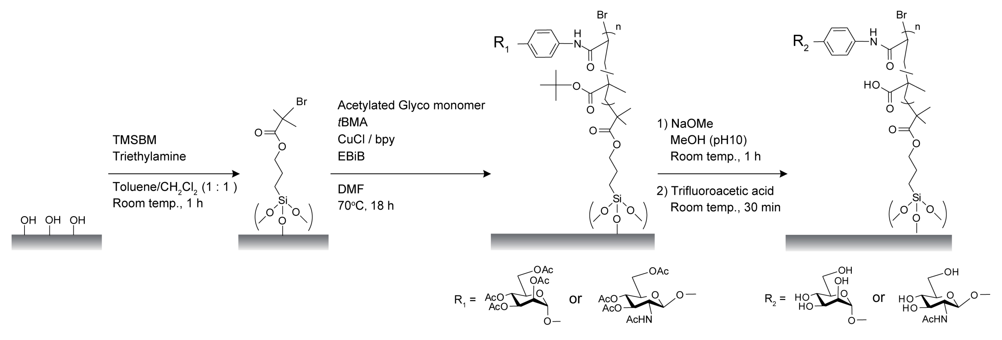 Membranes 03 00169 g001