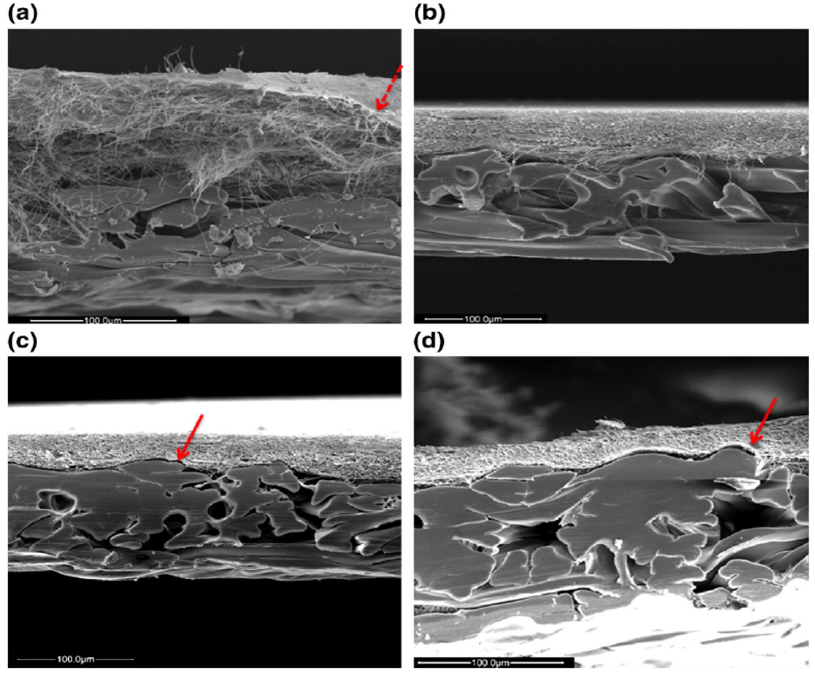 Membranes 03 00266 g003 1024