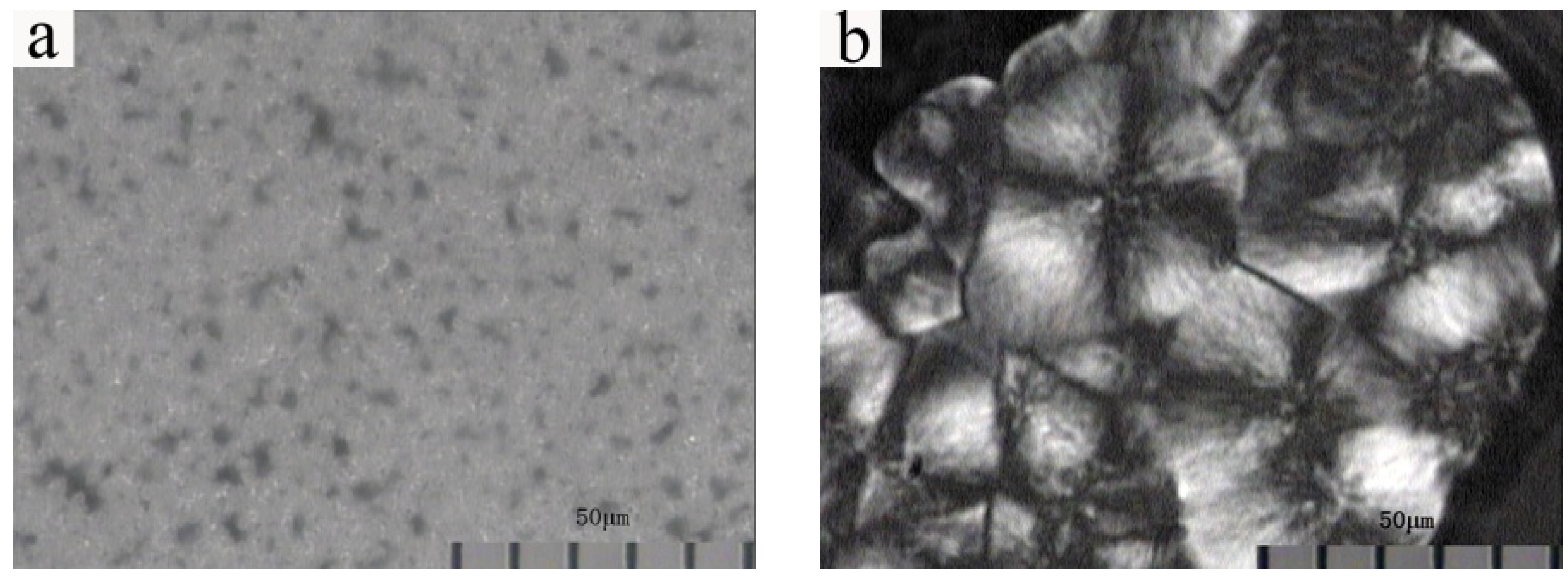 Membranes 03 00389 g007