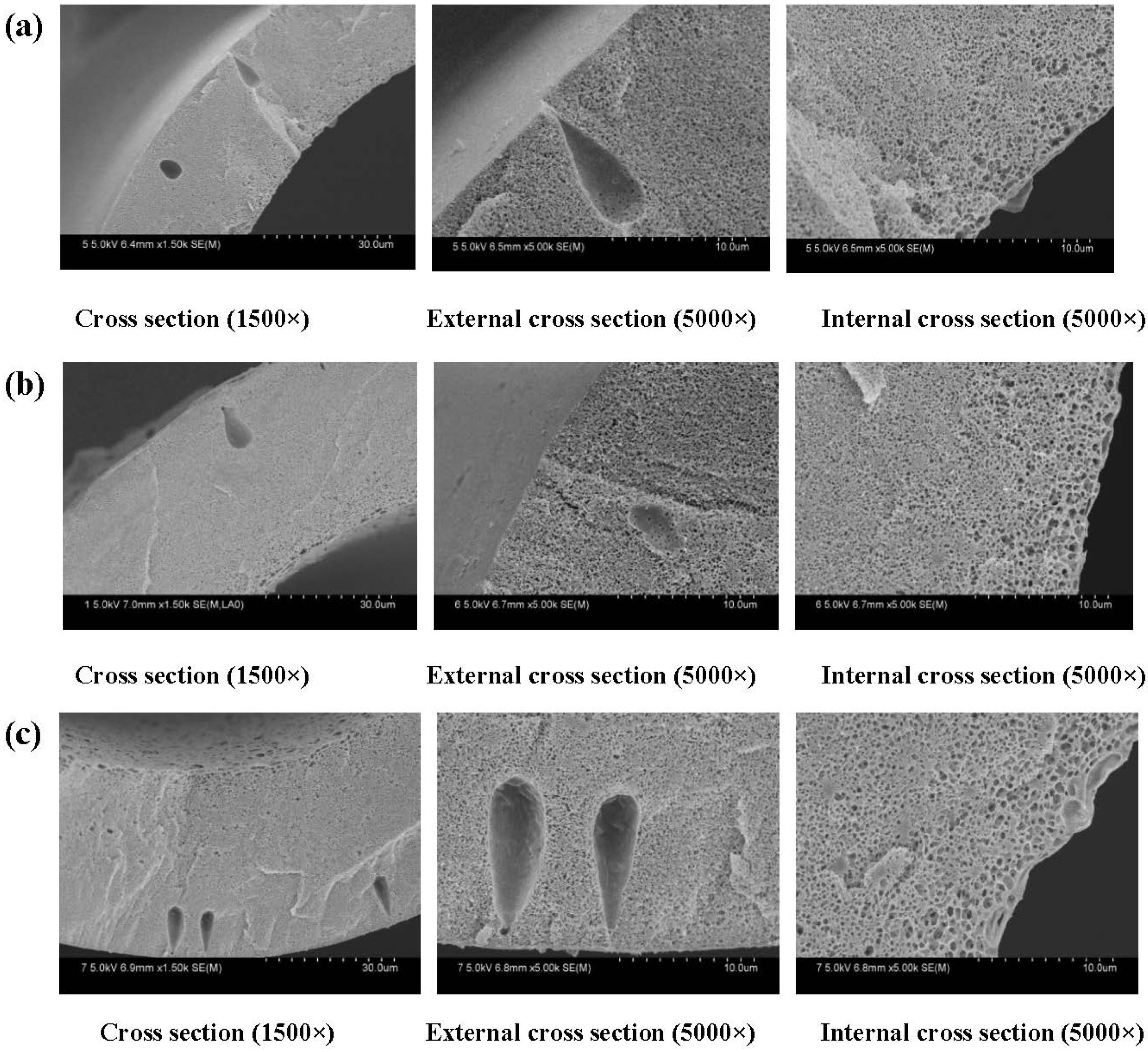 Membranes 04 00081 g005