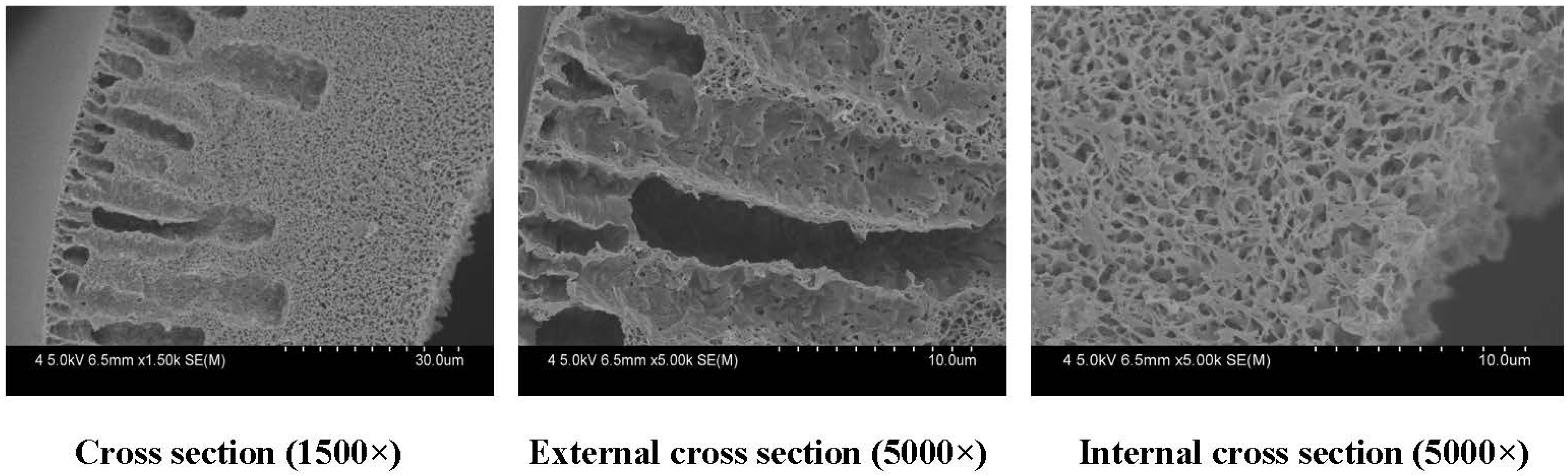 Membranes 04 00081 g014