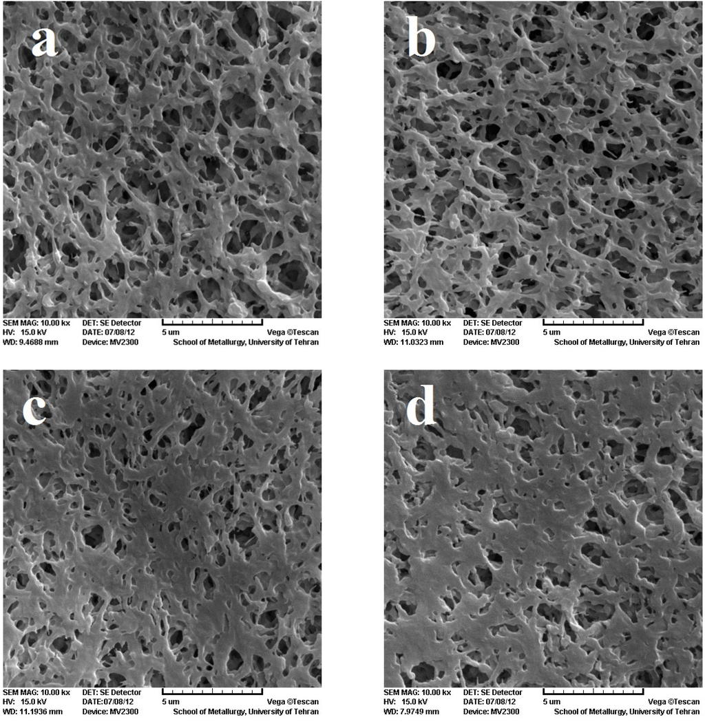 Membranes Free FullText Characteristics of PVDF Membranes