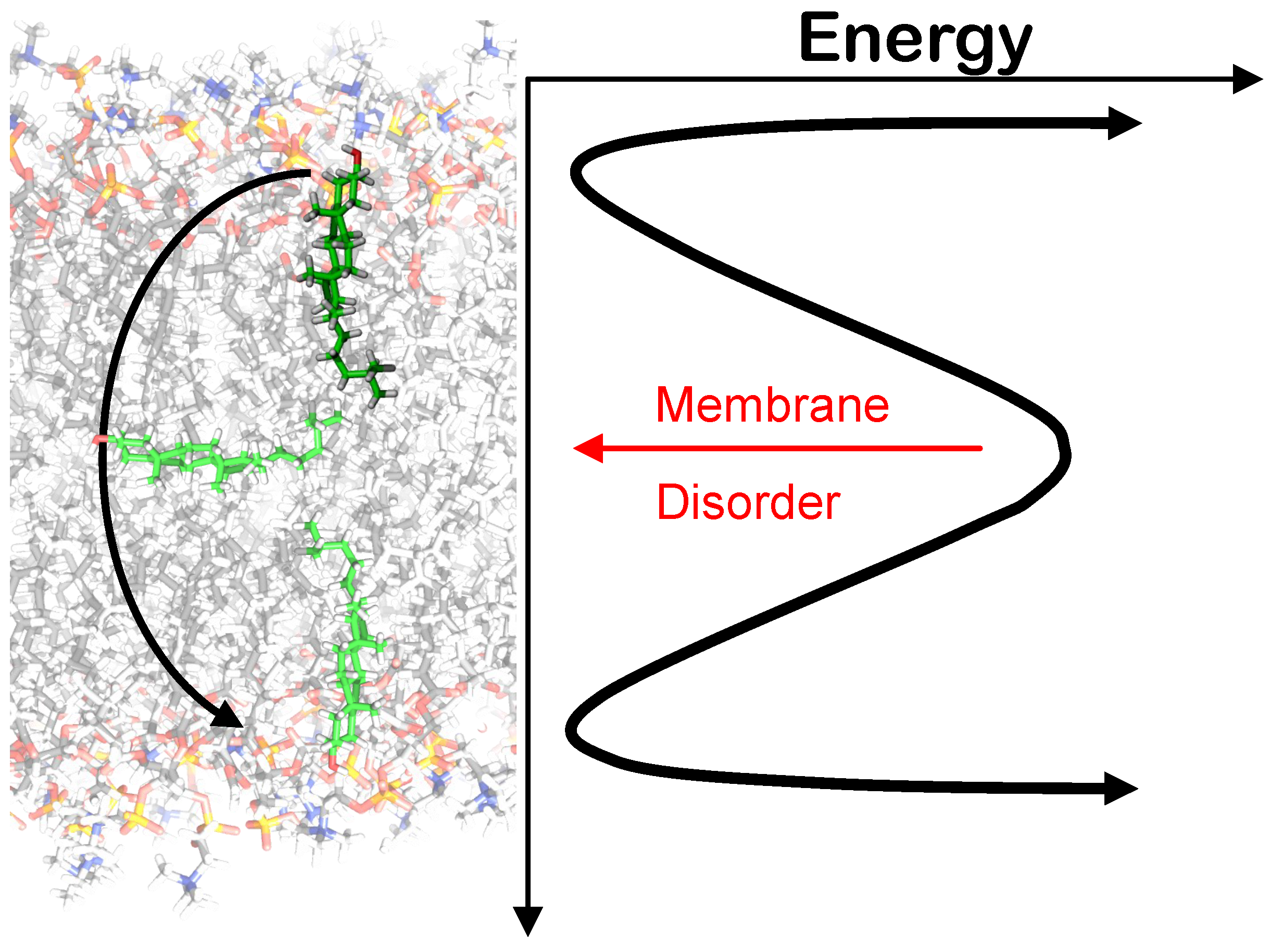 Membranes 05 00180 g006 1024