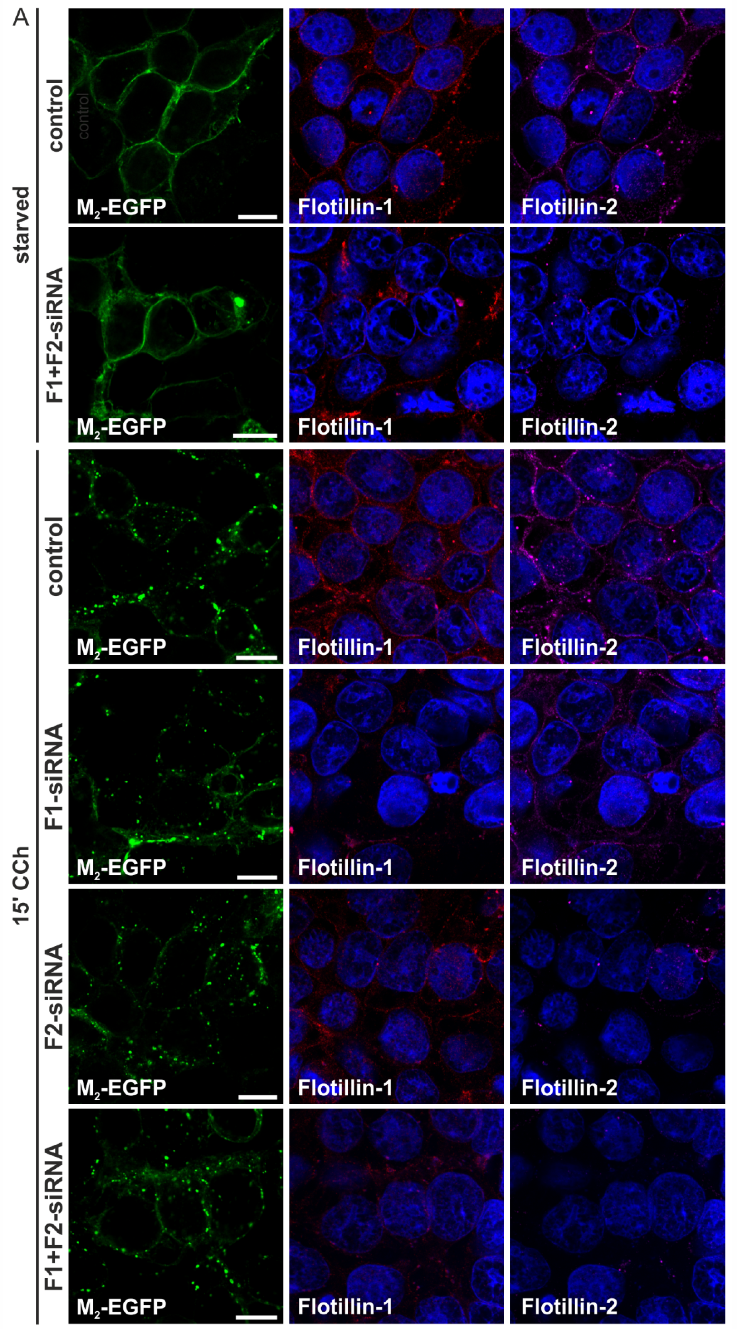 Membranes 05 00197 g003a