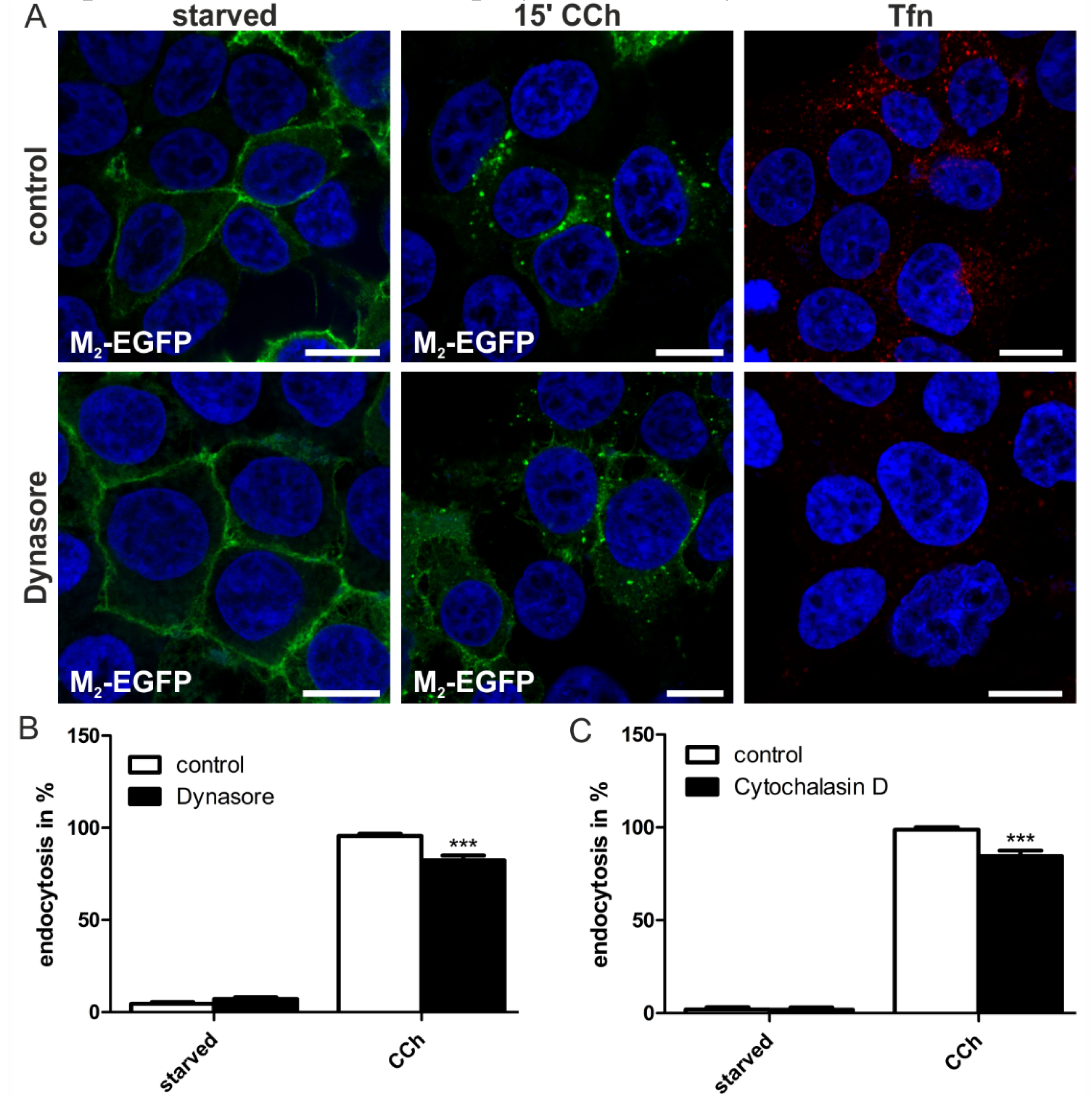 Membranes 05 00197 g005