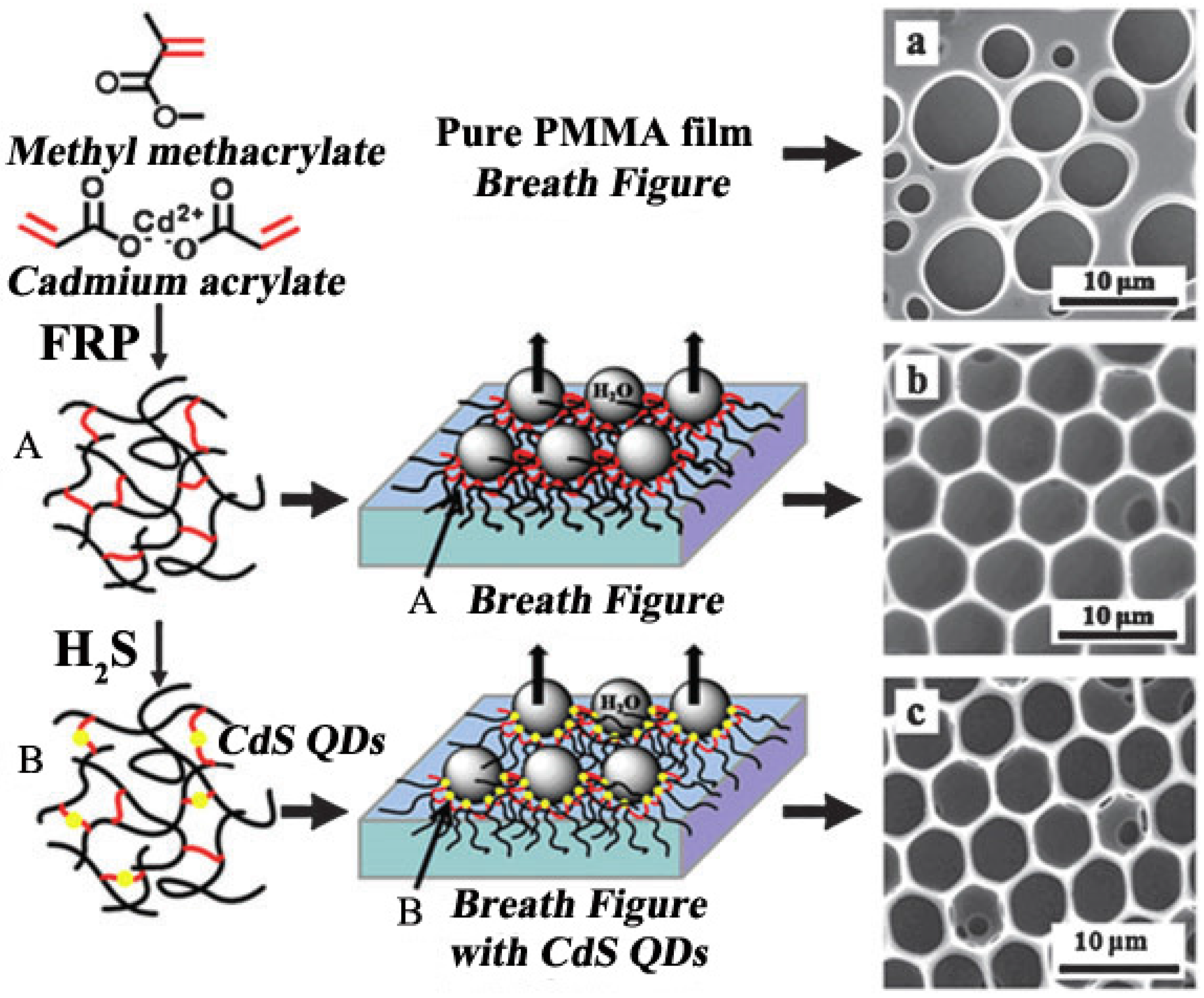 Membranes 05 00399 g016 1024