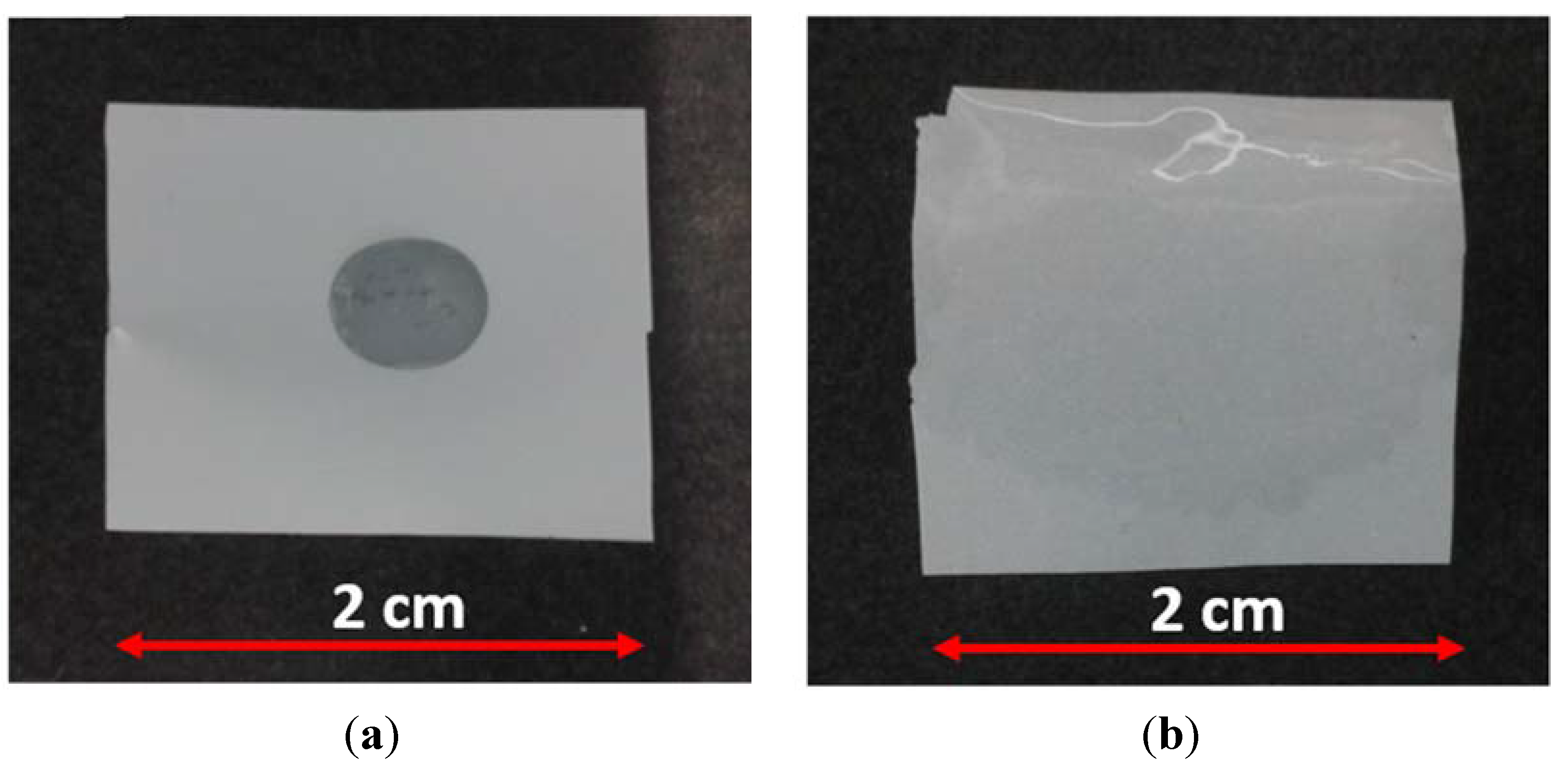 Membranes 05 00632 g003 1024