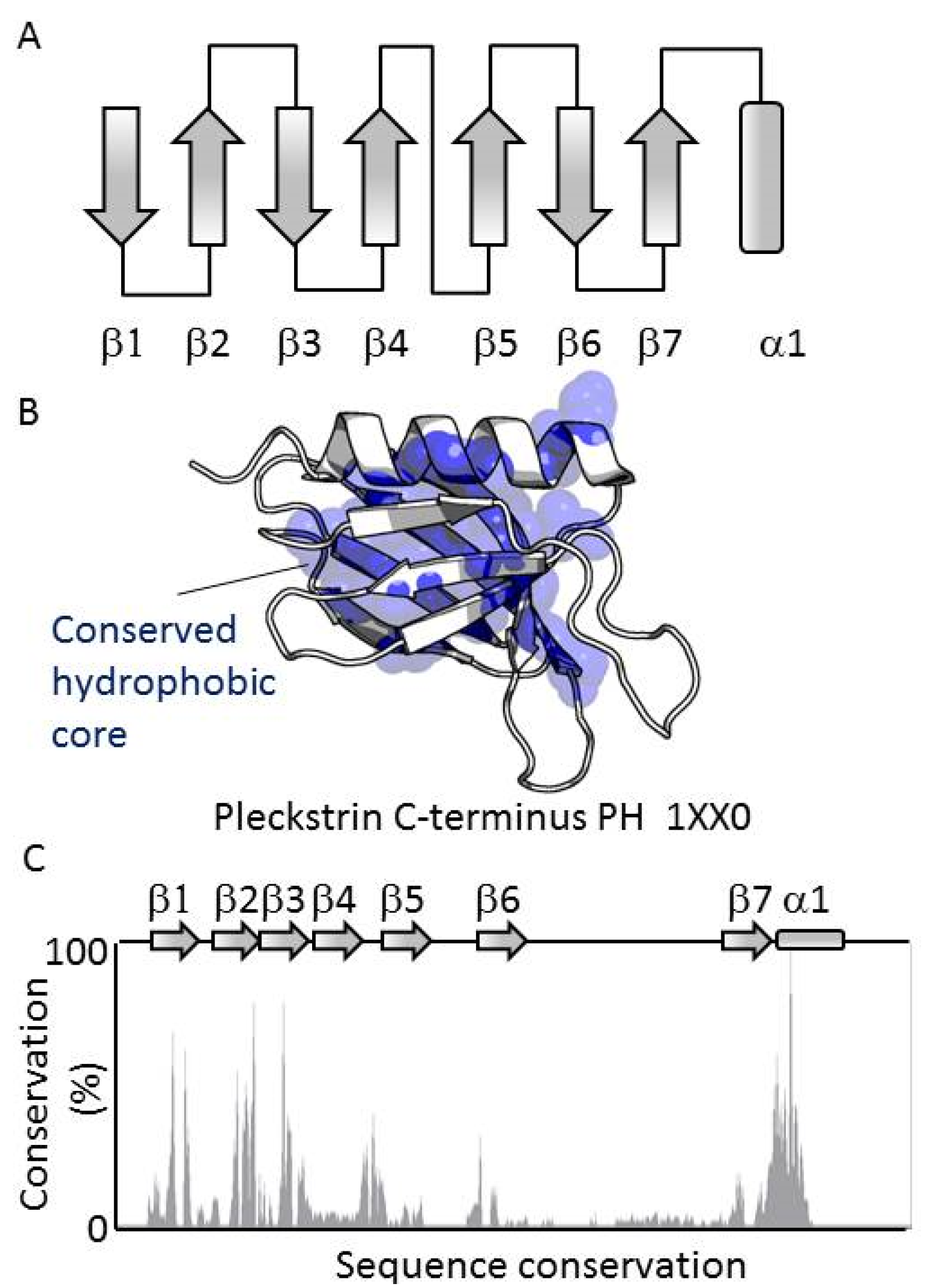 Membranes 05 00646 g001