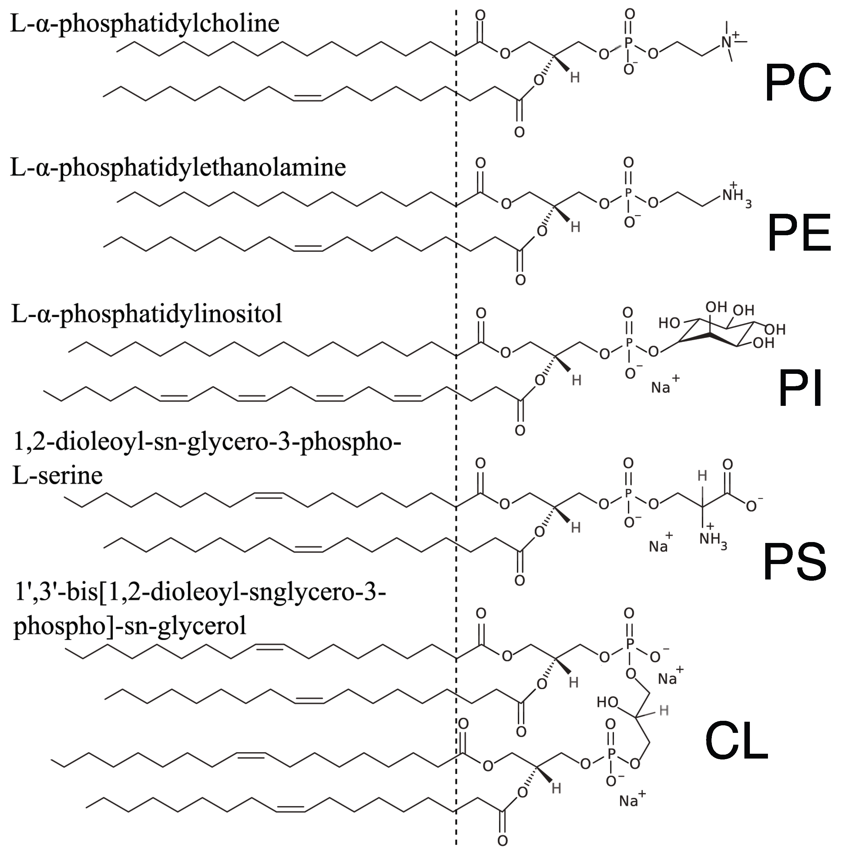 Membranes 05 00664 g001