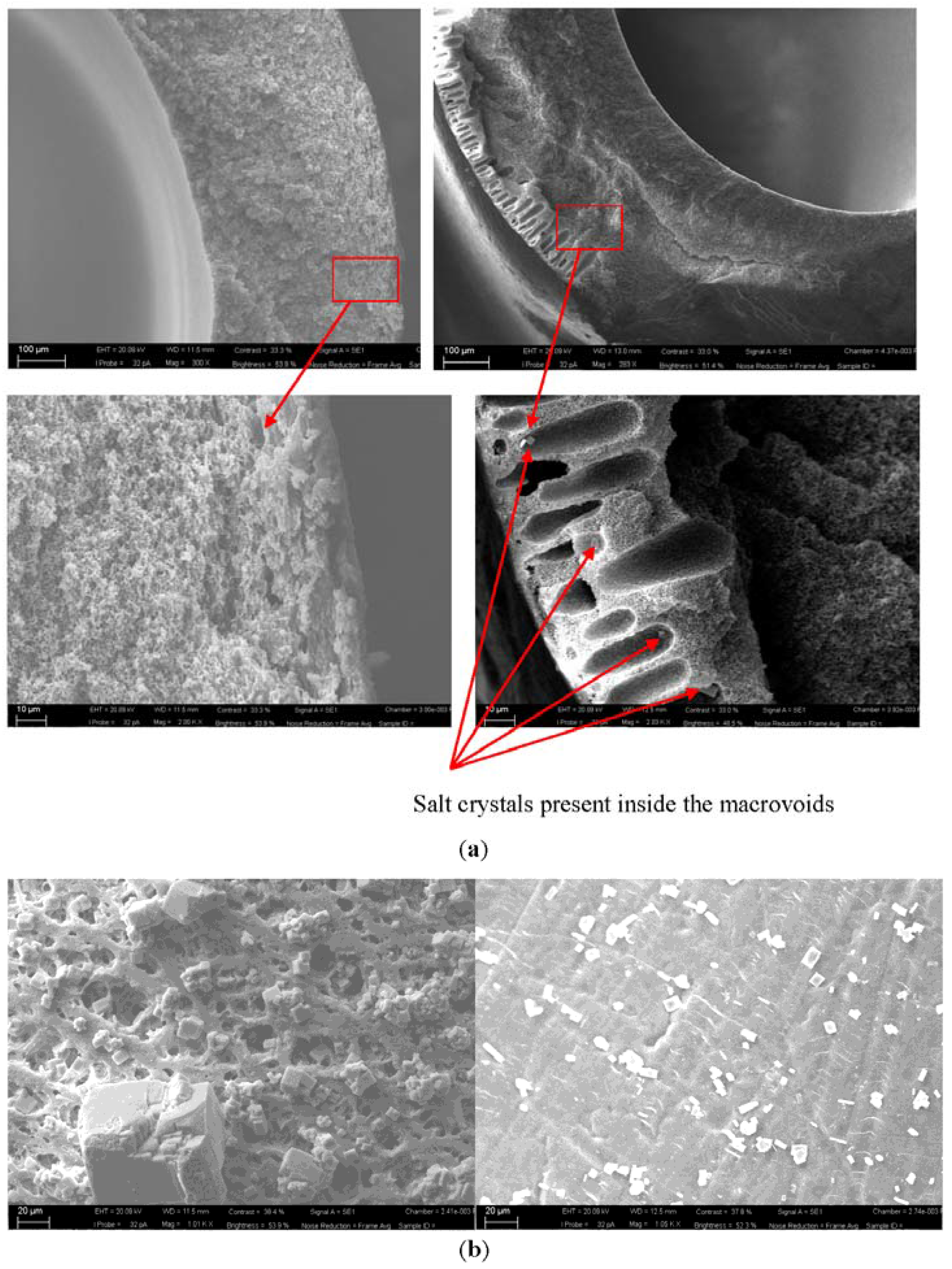 Membranes 05 00772 g013