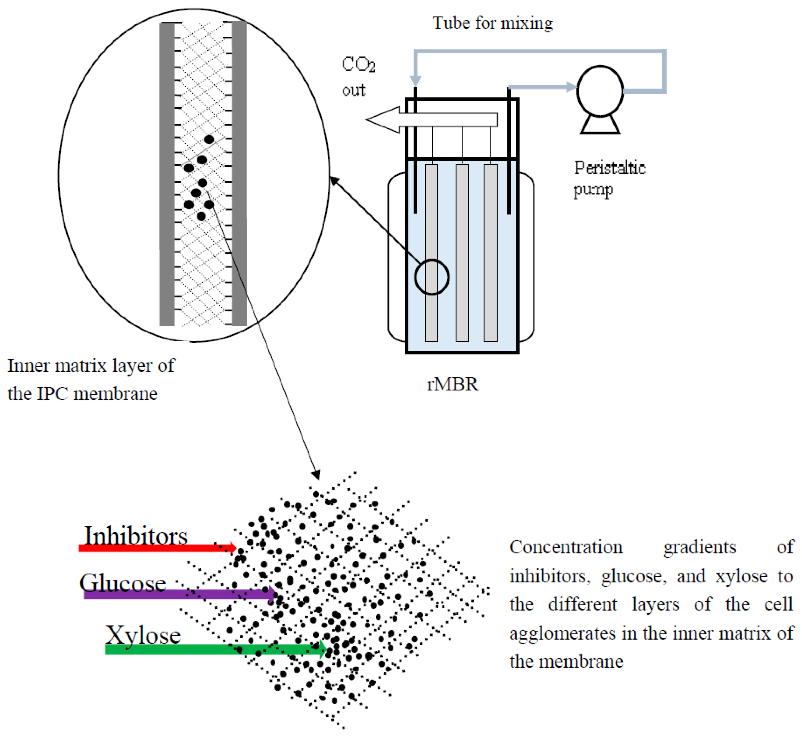 Membranes 05 00844 g001