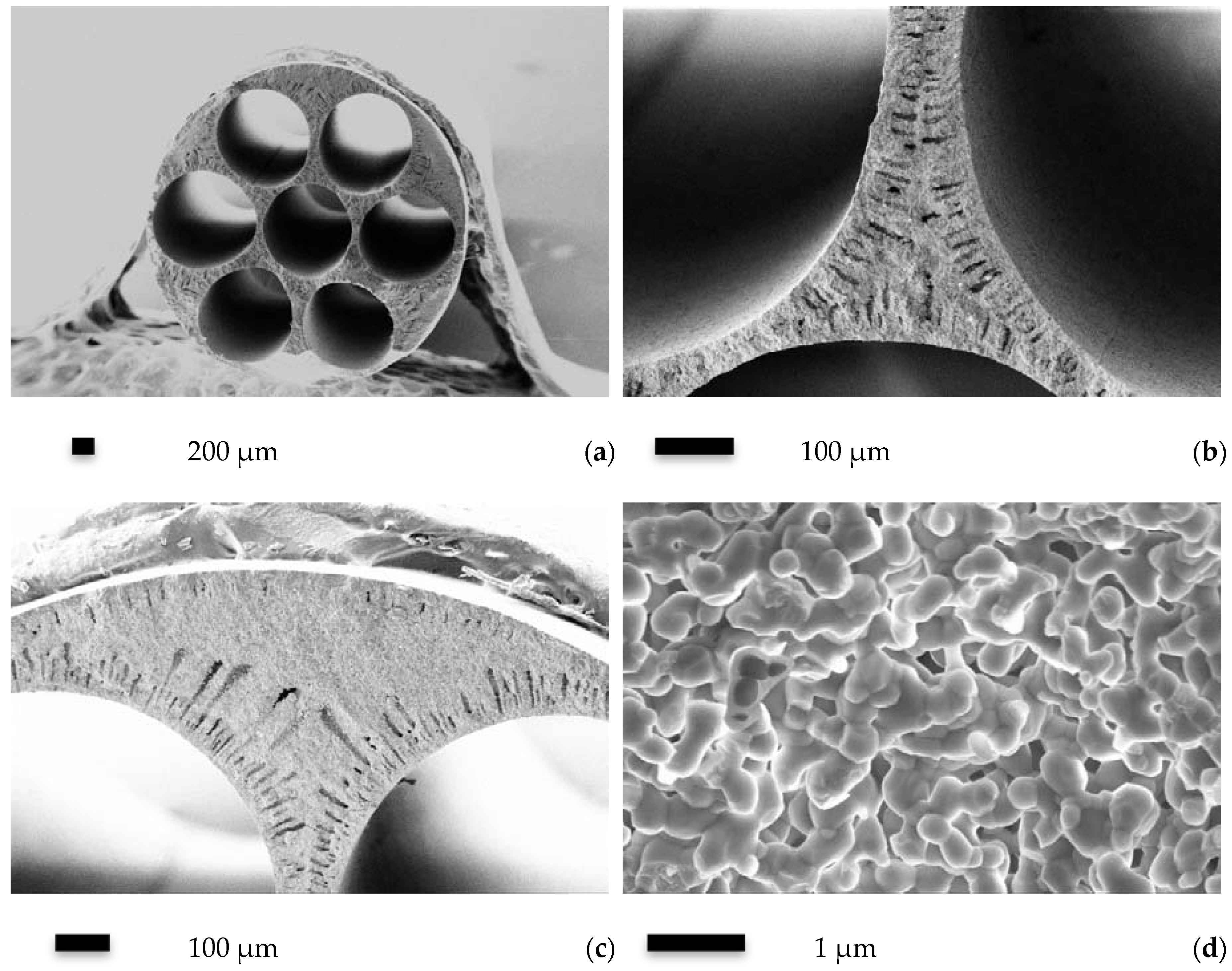 Membranes 06 00005 g001