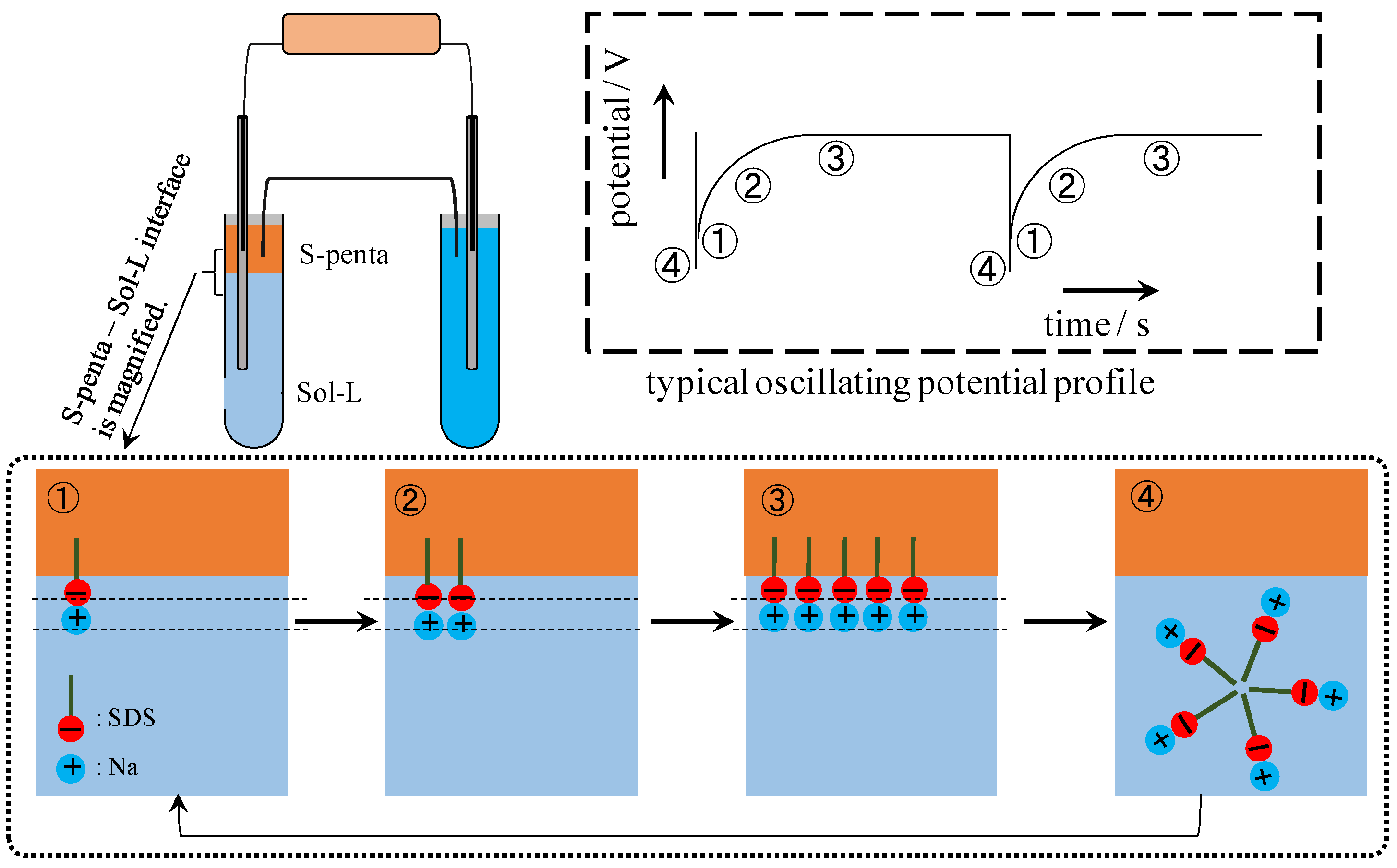Membranes 06 00011 g012
