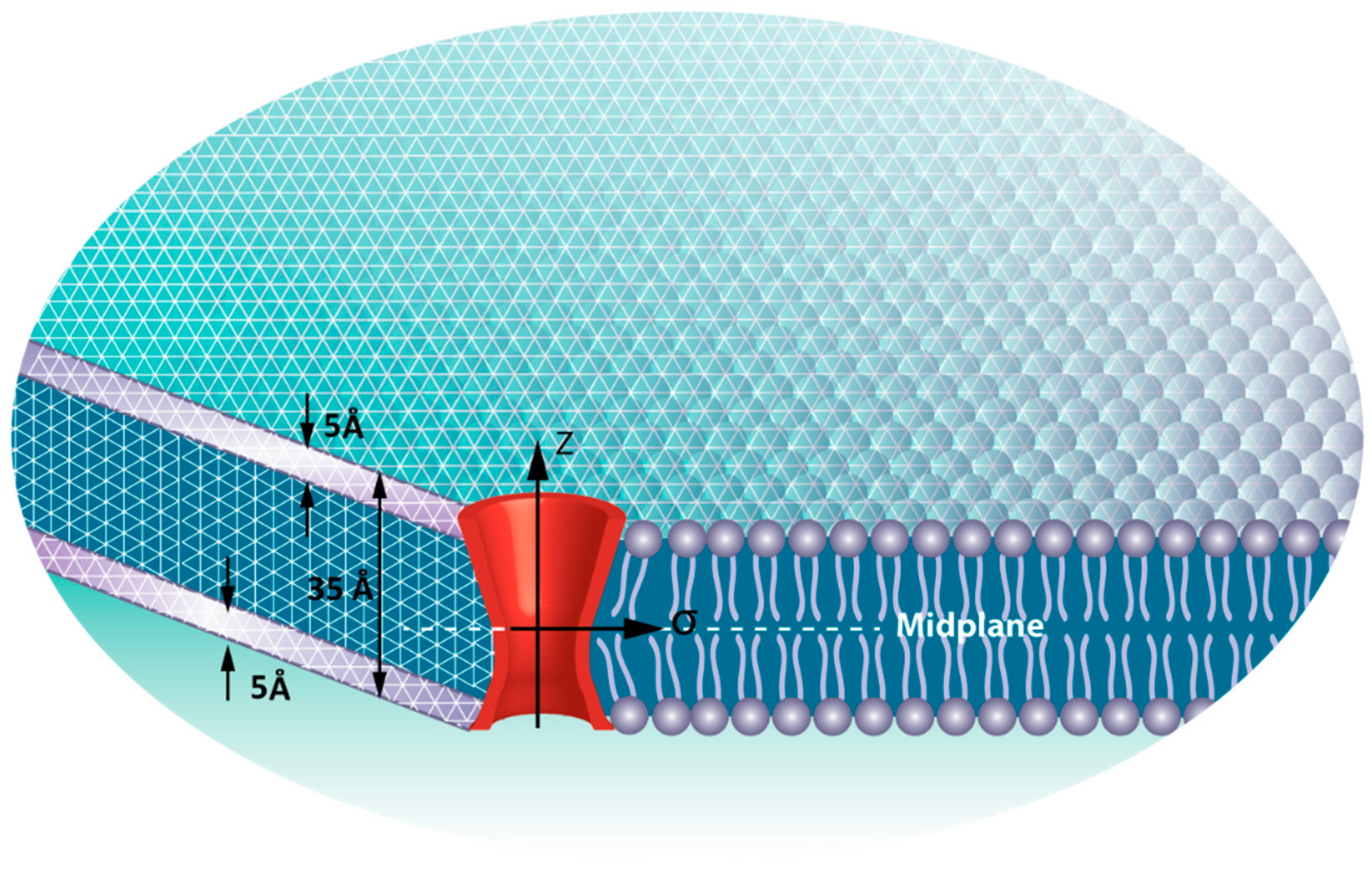 Membranes 06 00014 g003