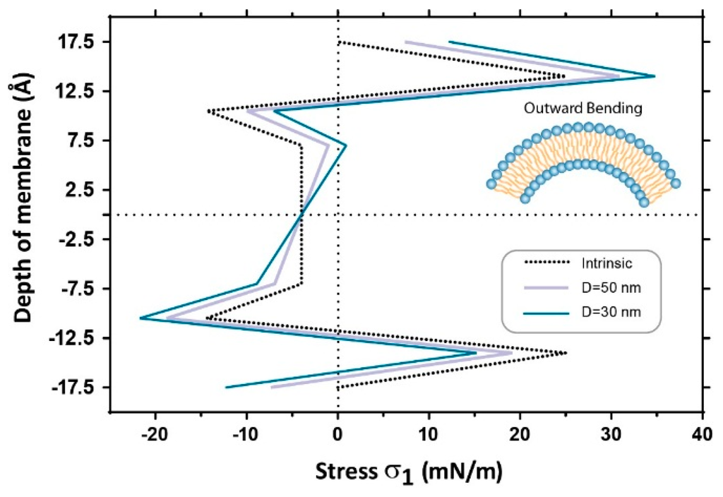 Membranes Free Full Text Influence Of Global And Local Membrane Curvature On Mechanosensitive Ion Channels A Finite Element Approach Html
