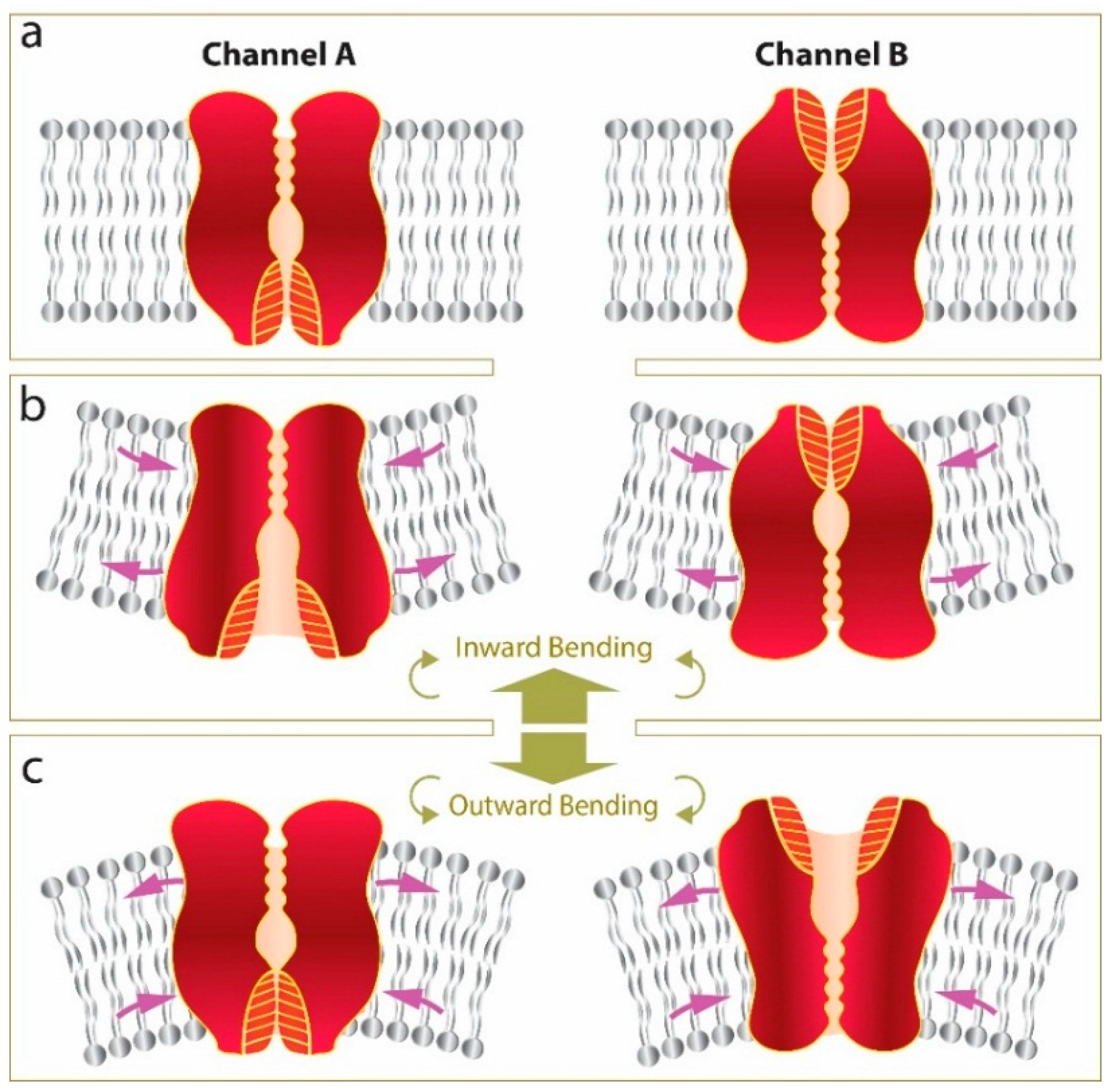 Membranes 06 00014 g009