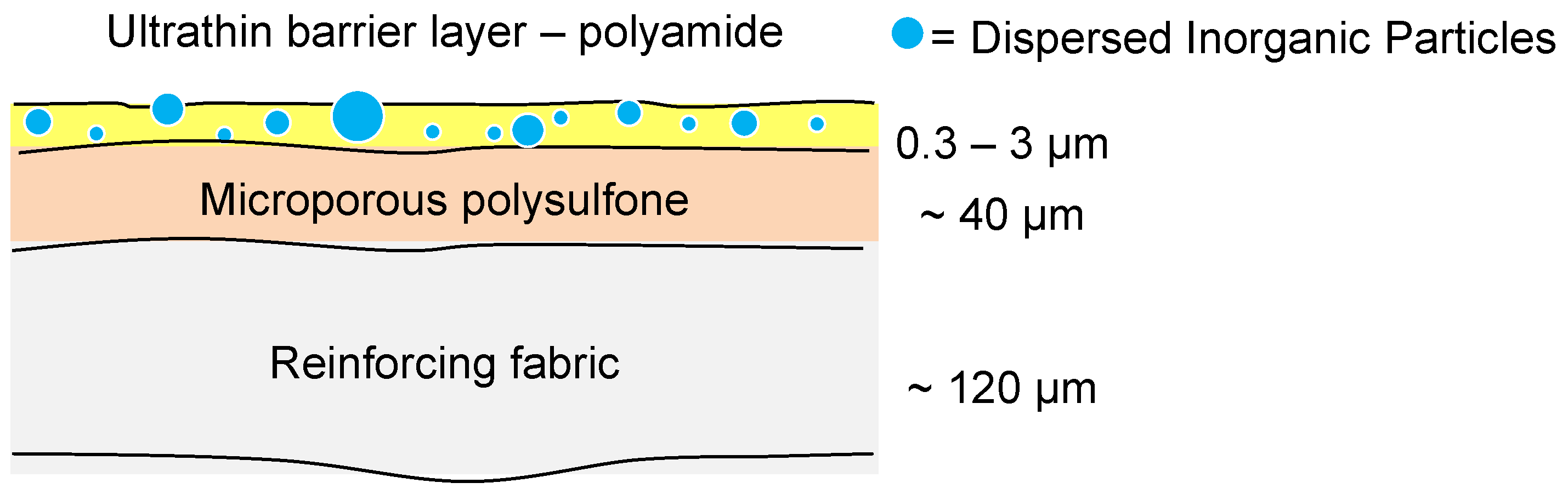 Membranes 06 00017 g010