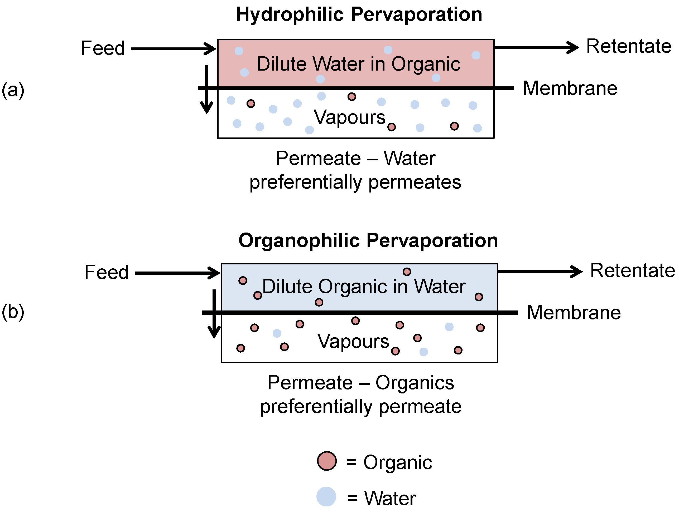 Membranes 06 00017 g012