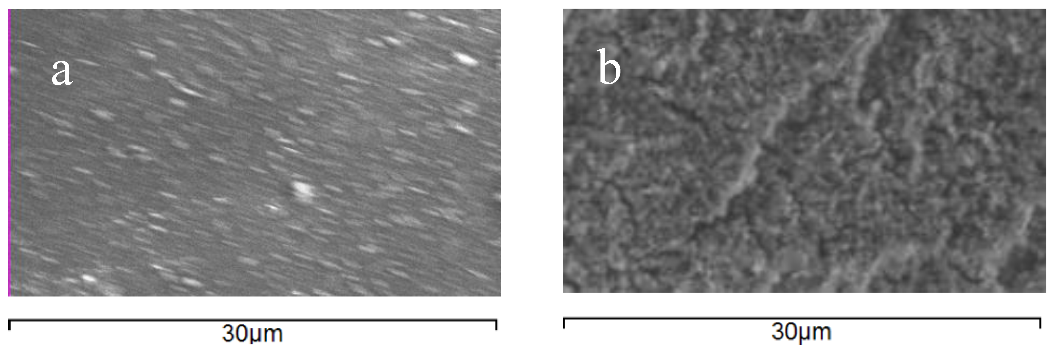 Membranes 06 00019 g005 1024