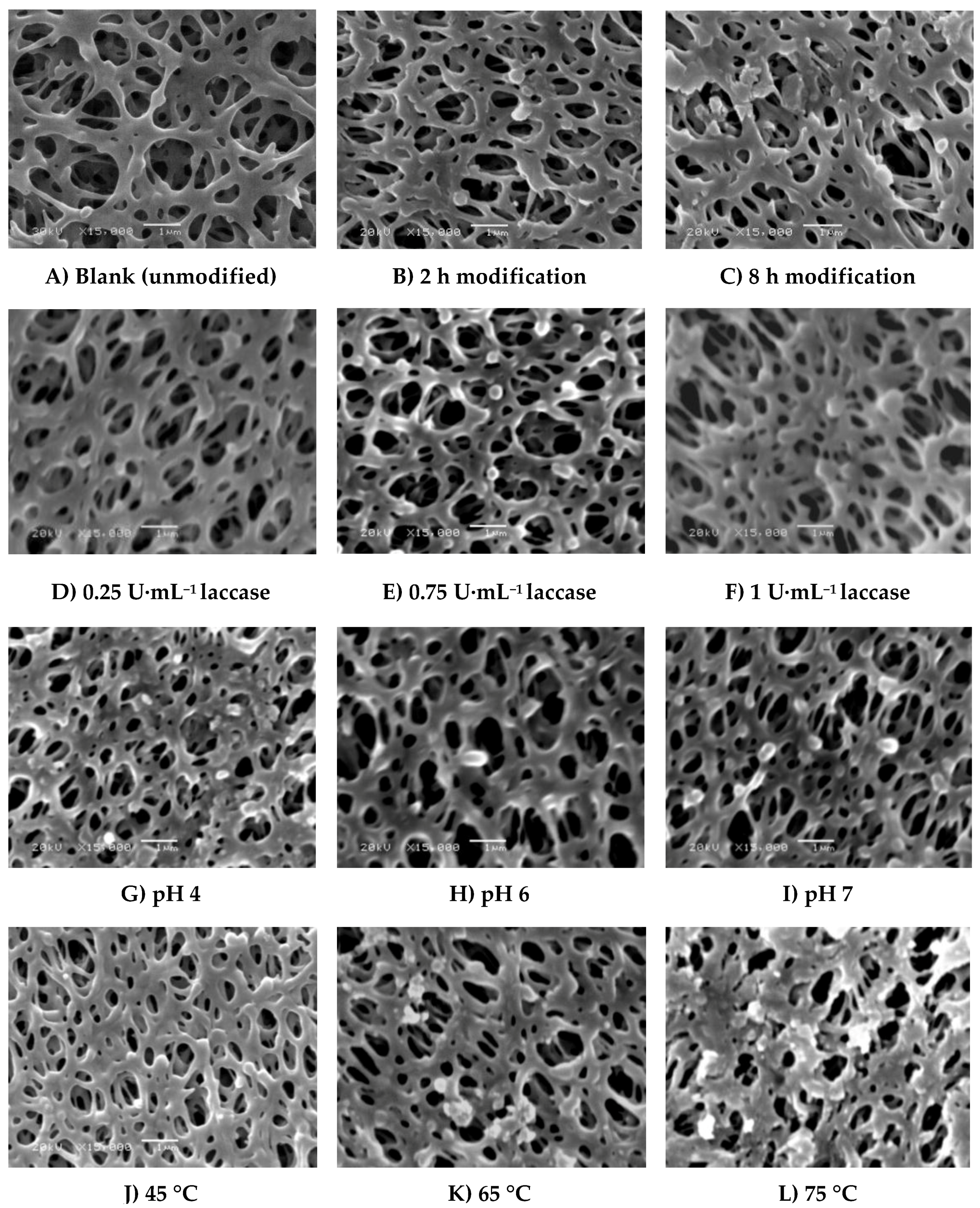 Membranes 06 00023 g005