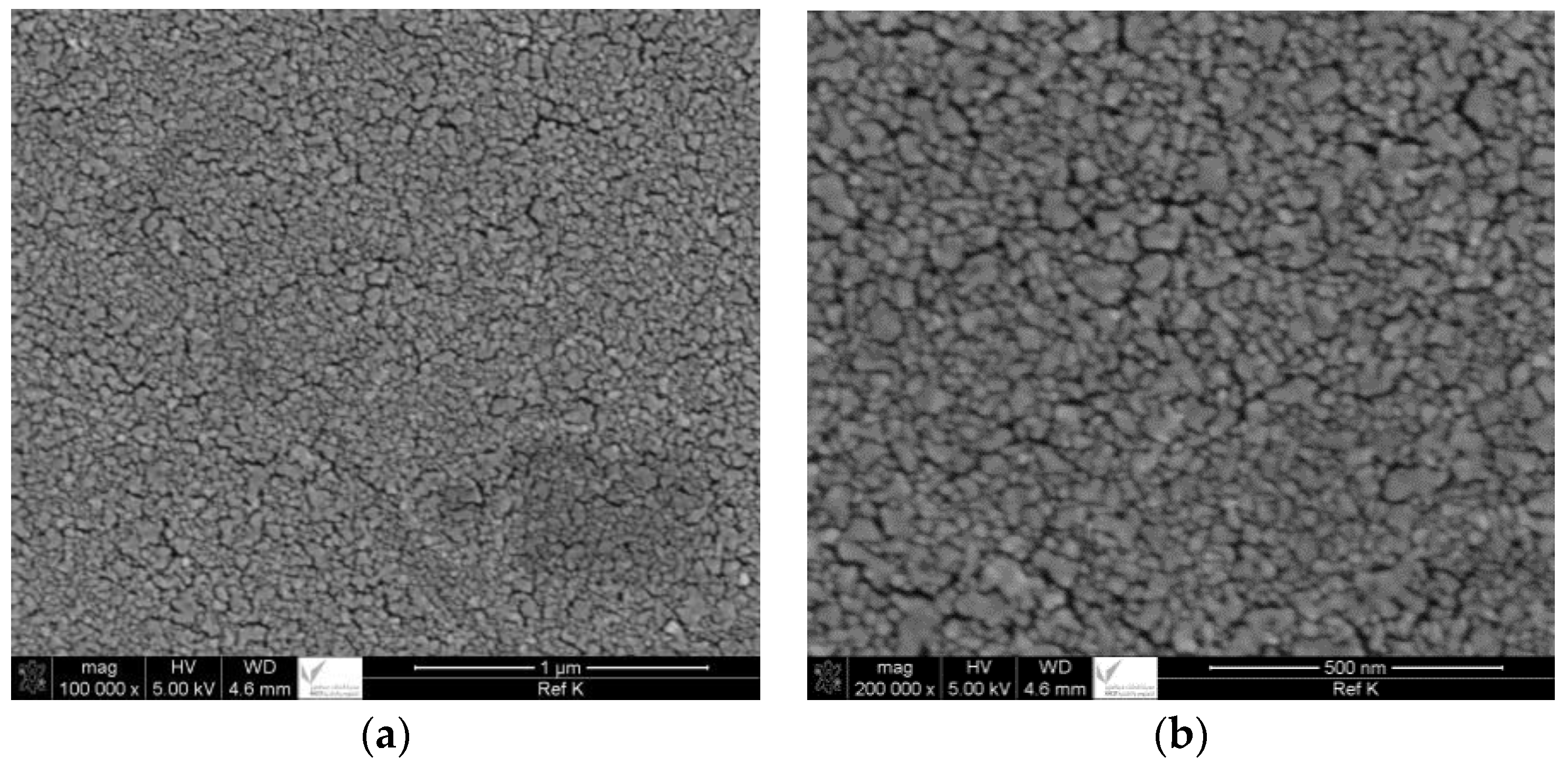 Membranes 06 00024 g001