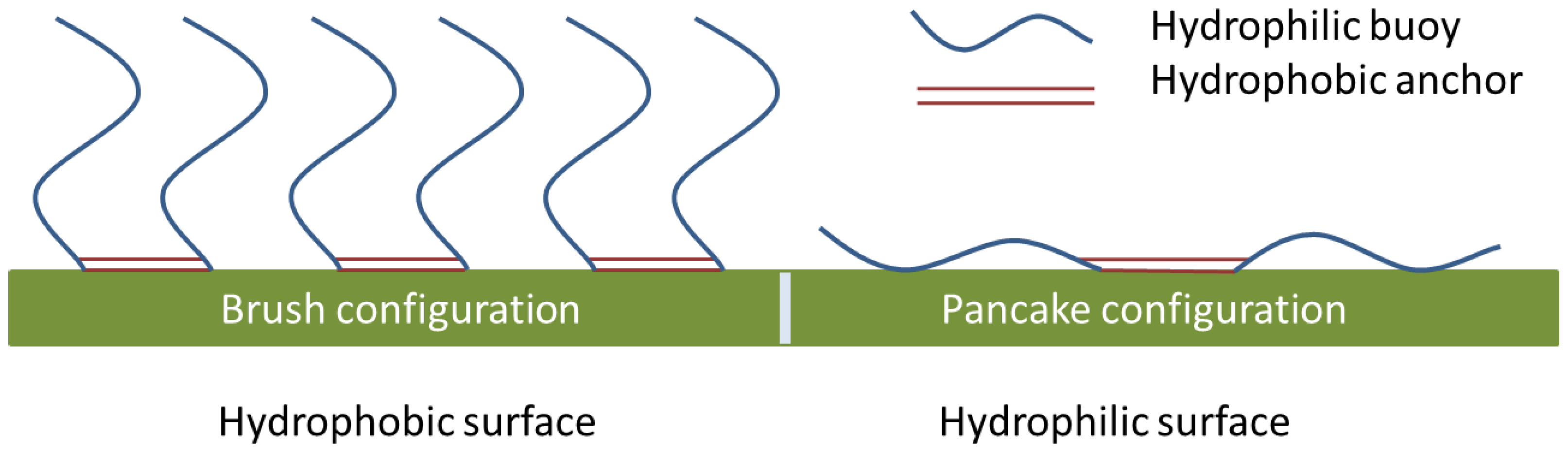 Membranes 06 00026 g001