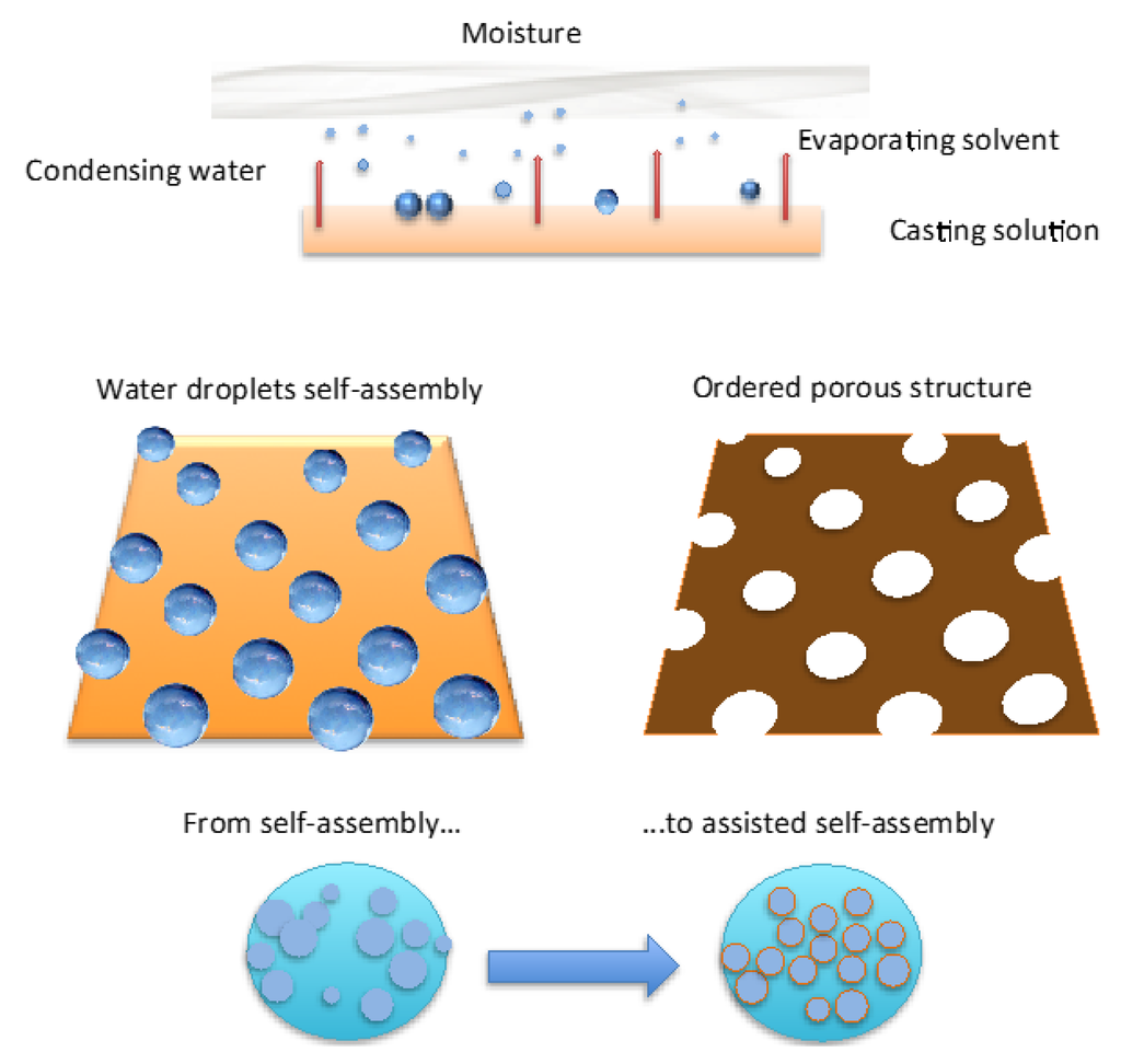 Membranes Free FullText Controlled Bulk Properties of Composite