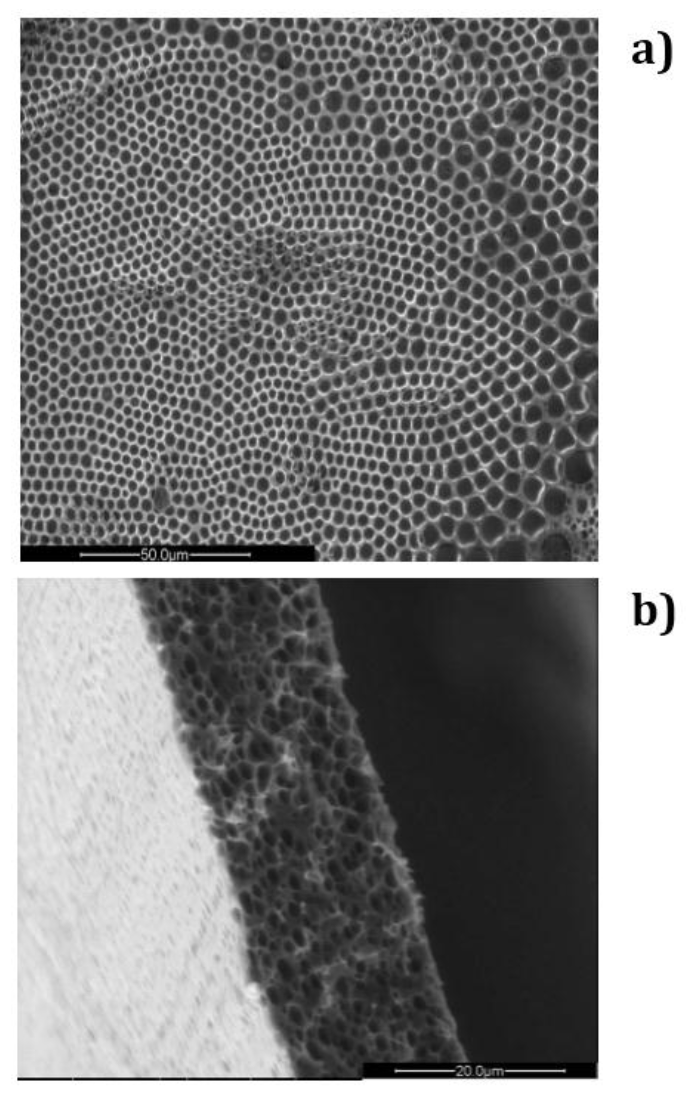 Membranes 06 00027 g002