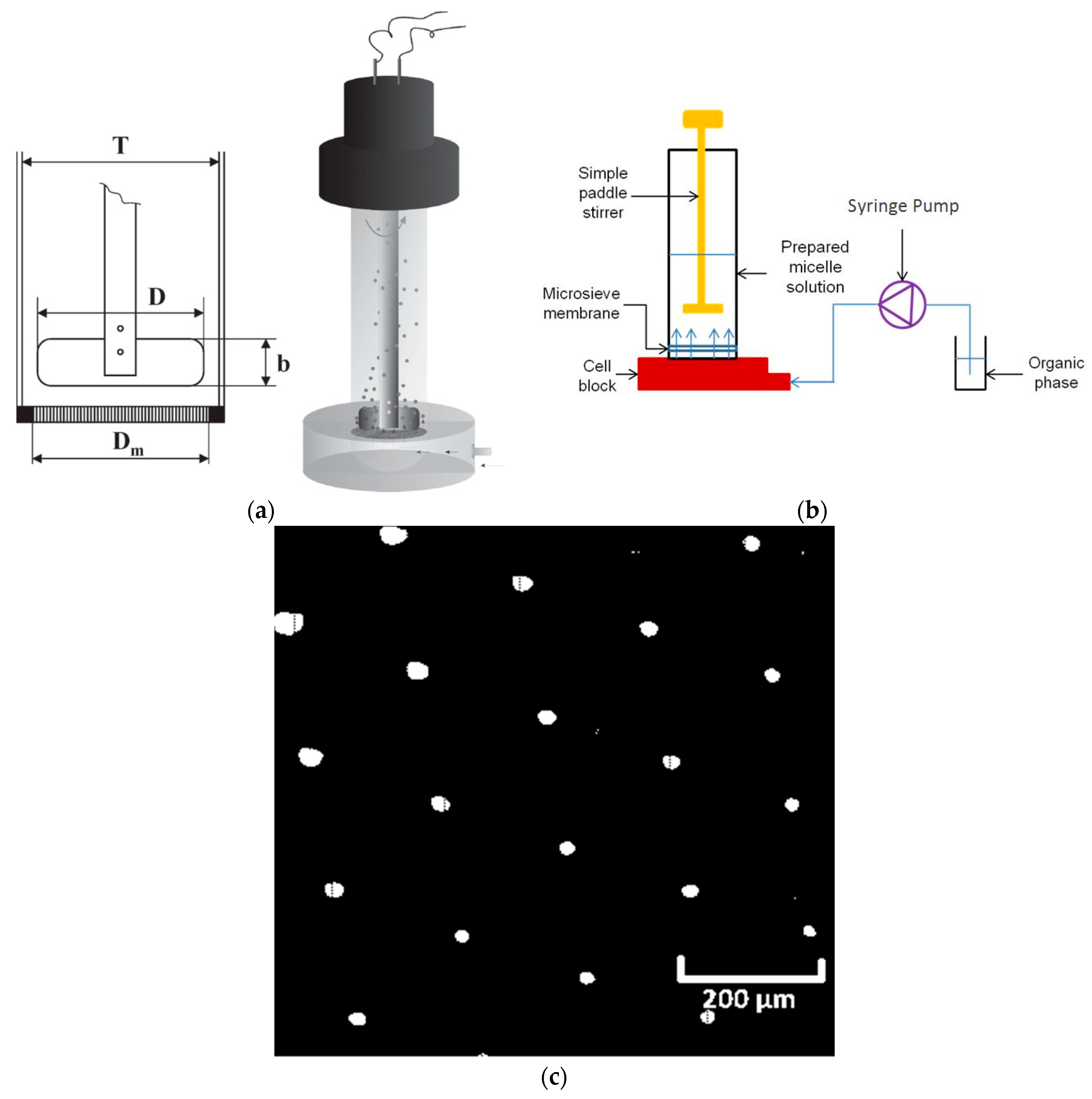 Membranes 06 00029 g002