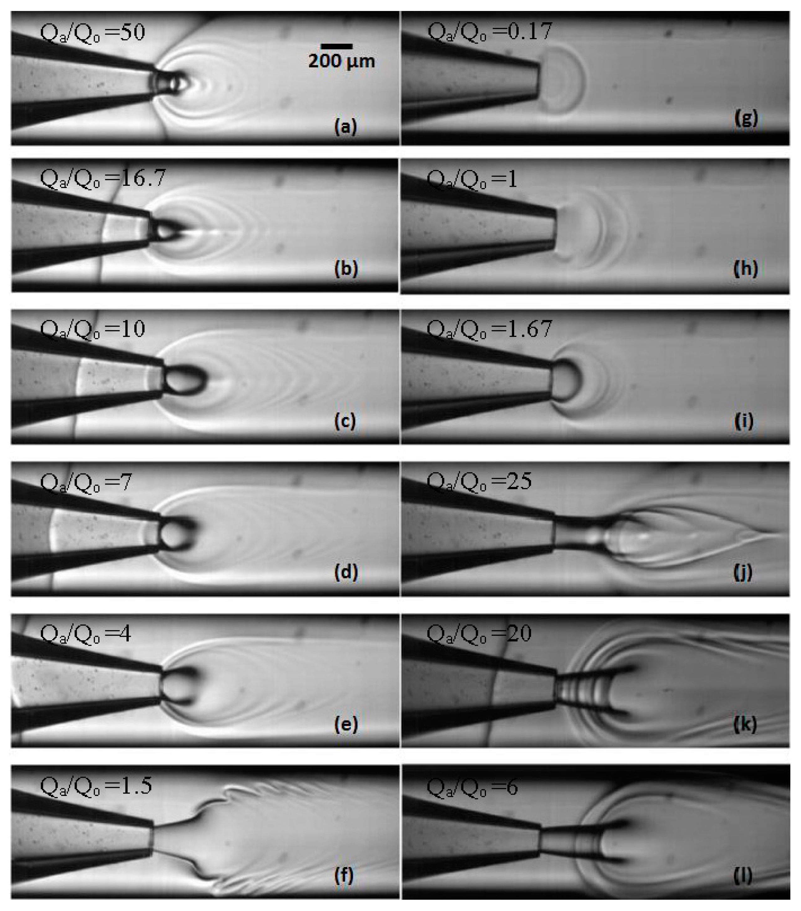 Membranes 06 00029 g005