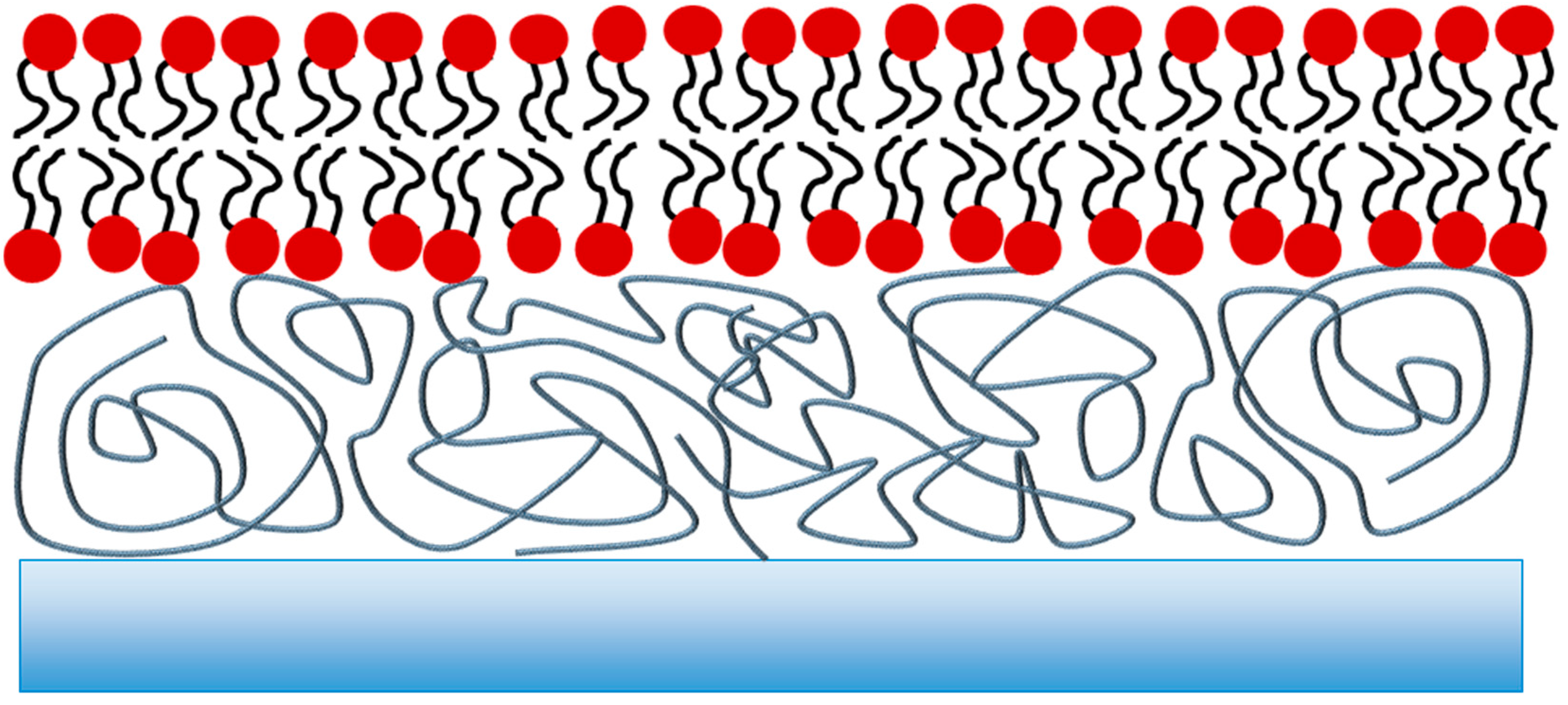Membranes 06 00030 g002