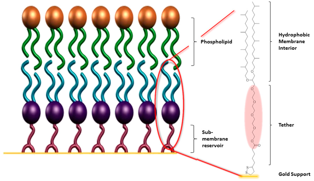 Membranes, Free Full-Text