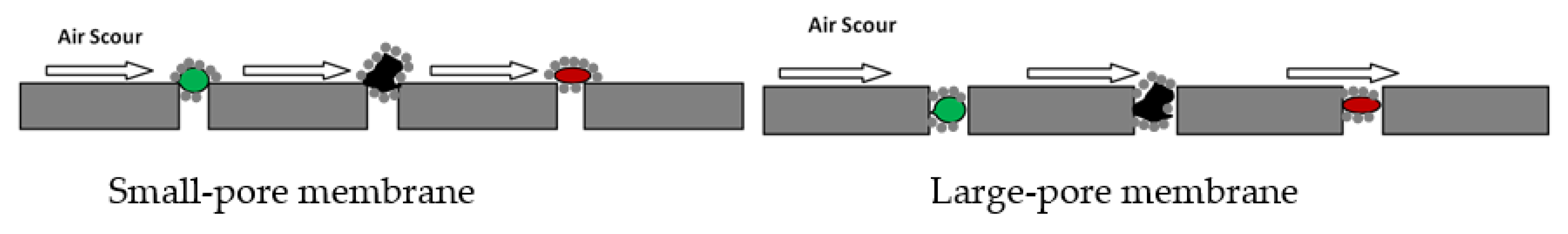 Membranes 06 00033 g003