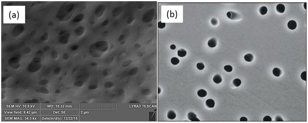 membranes pore membrane ultrafiltration microfiltration permeability stretching selectivity effect figure distribution mdpi analysis shape