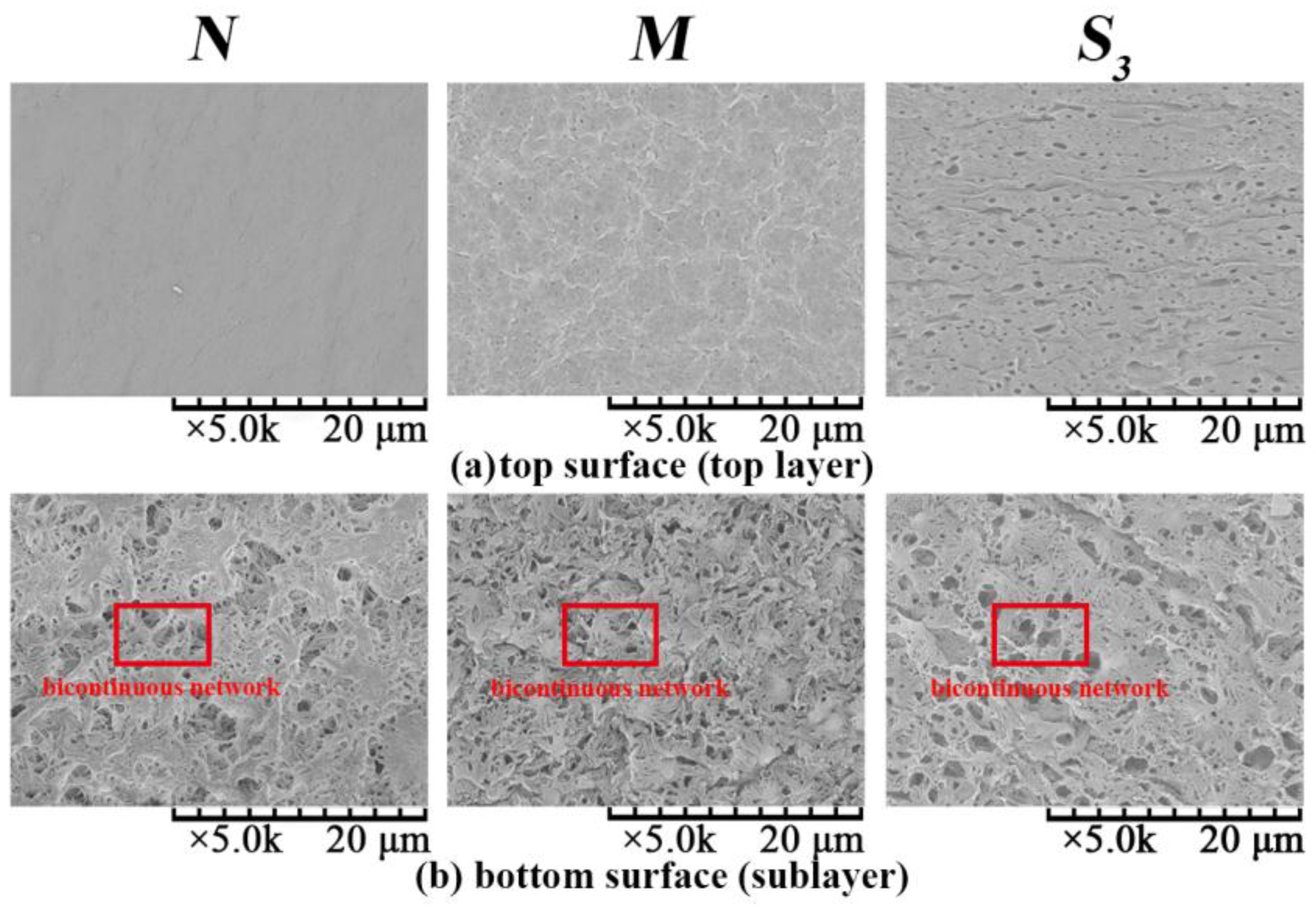 Membranes 06 00047 g007