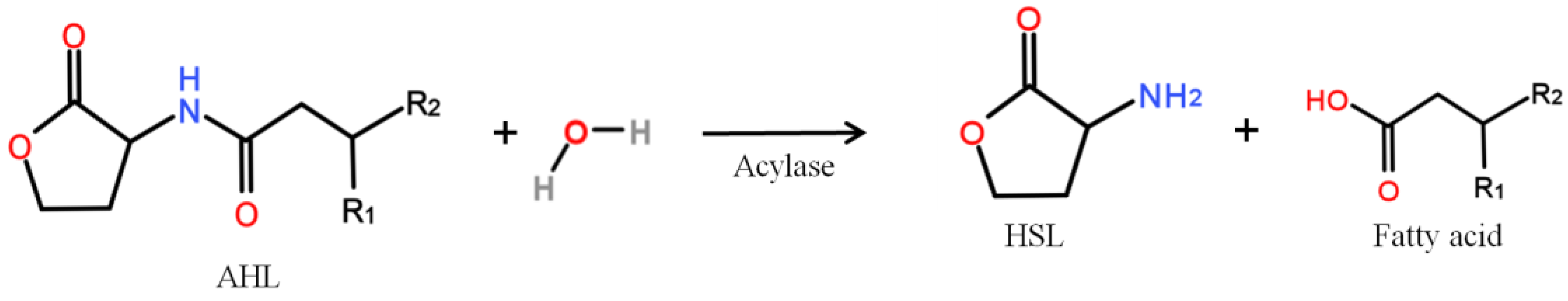 Membranes 06 00052 g003