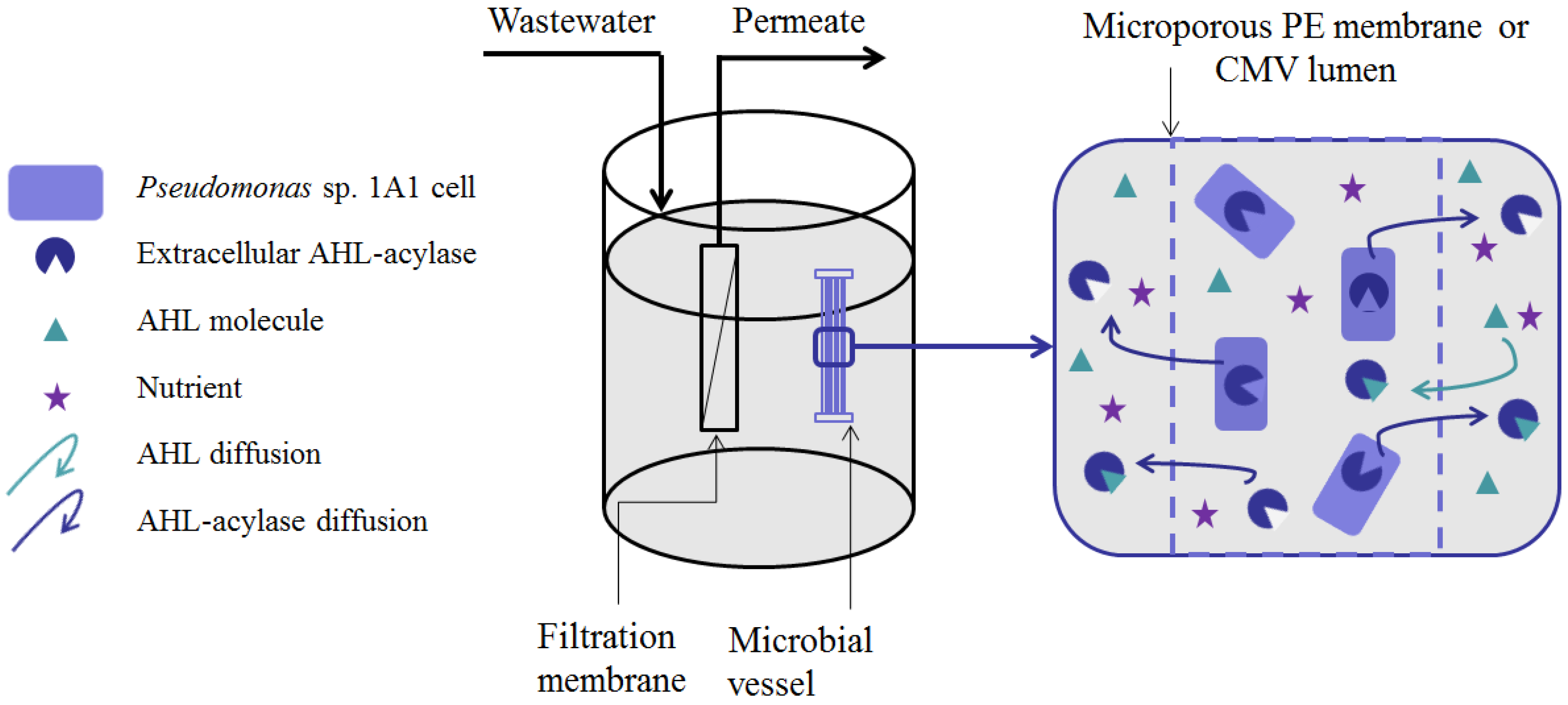 Membranes 06 00052 g006