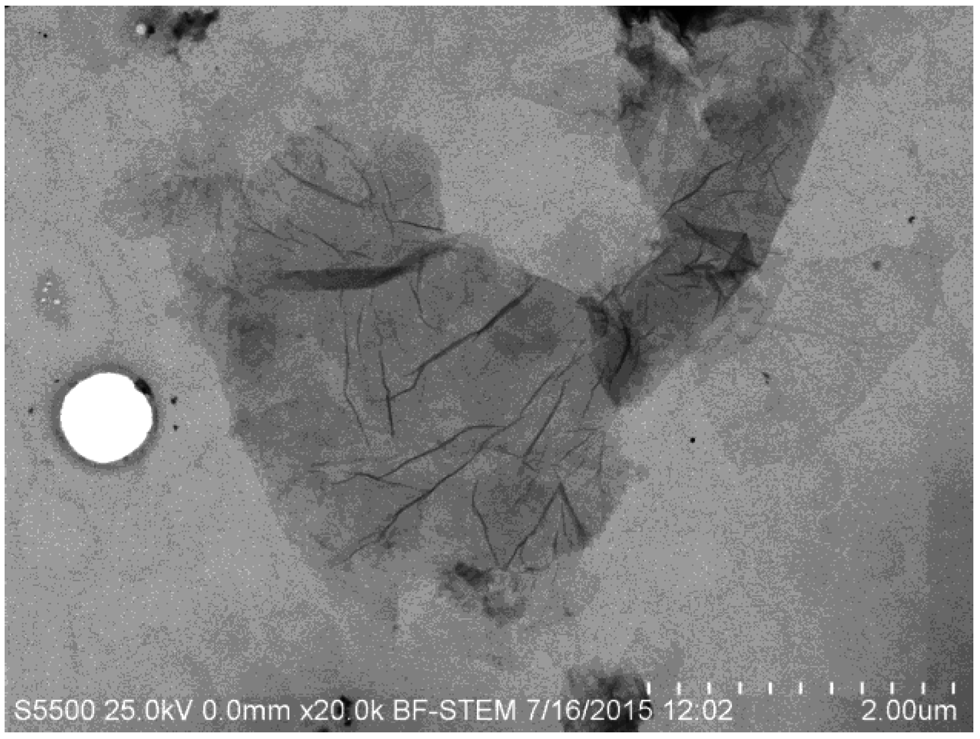 Membranes 06 00057 g002