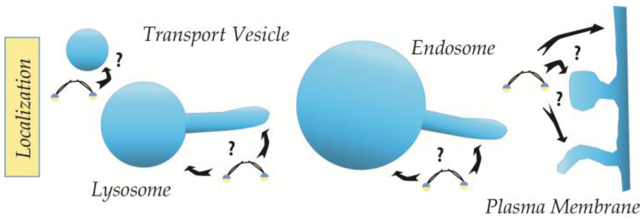 Membranes 07 00006 g001 550