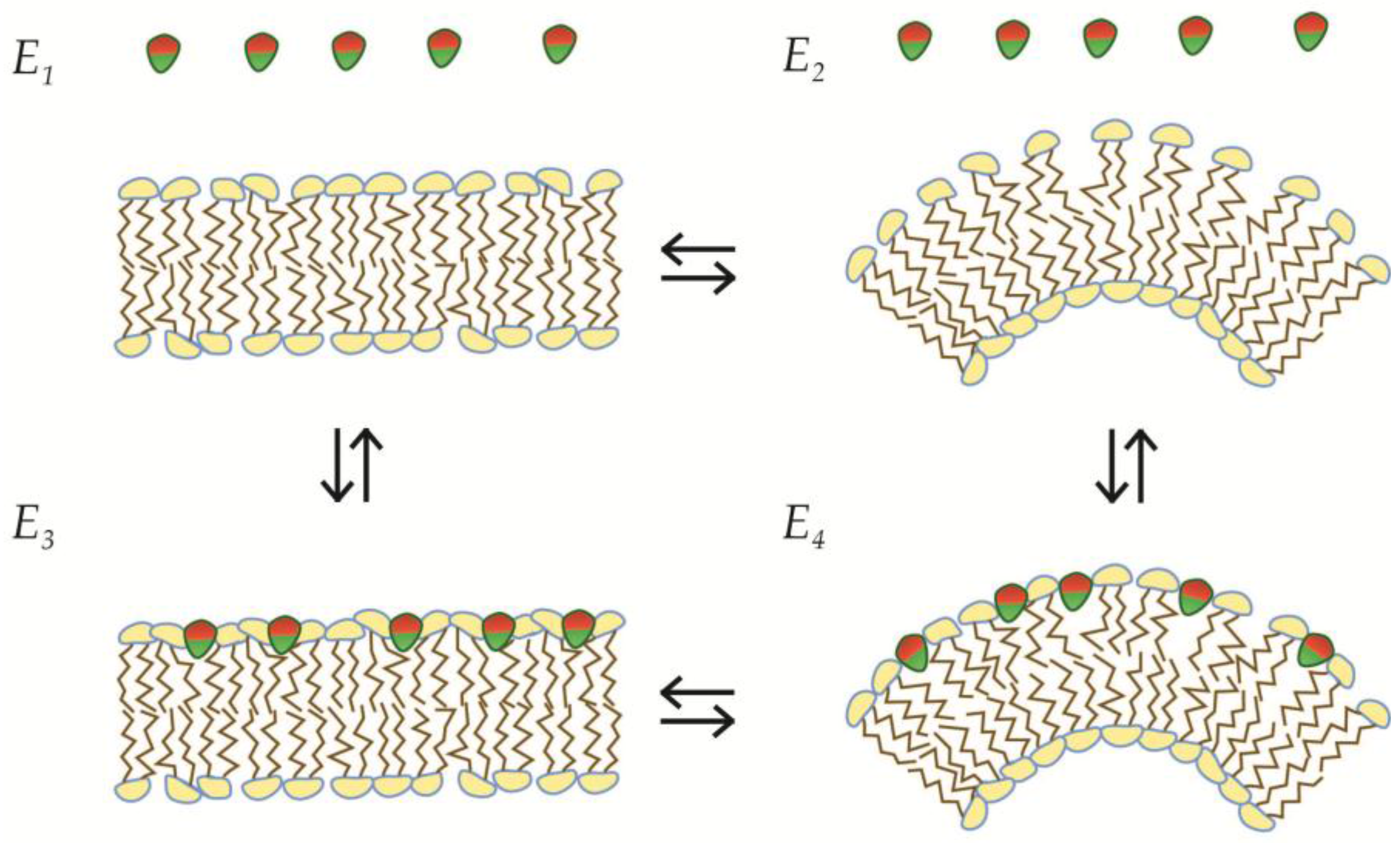 Membranes 07 00006 g003 550