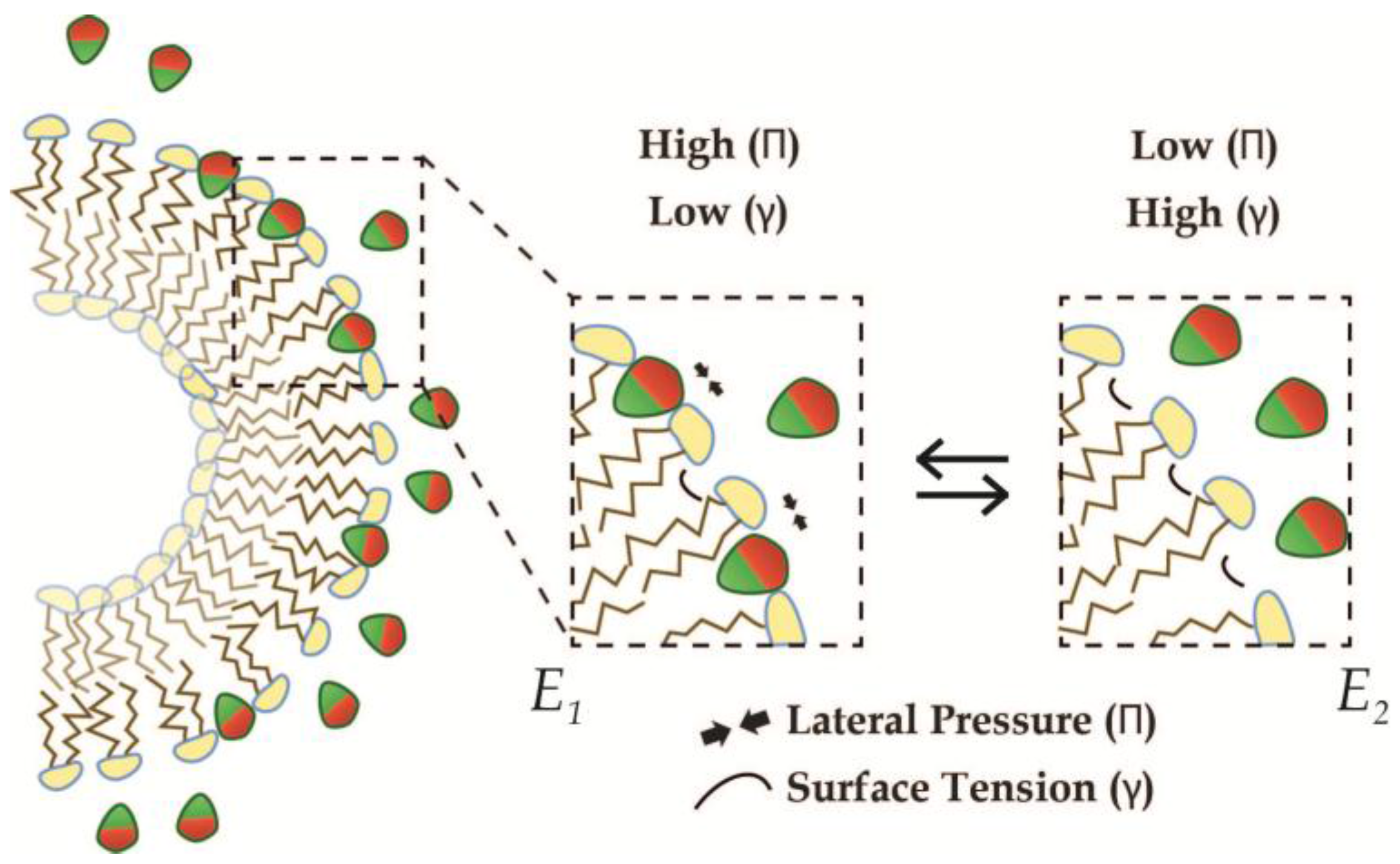 Membranes 07 00006 g007 550