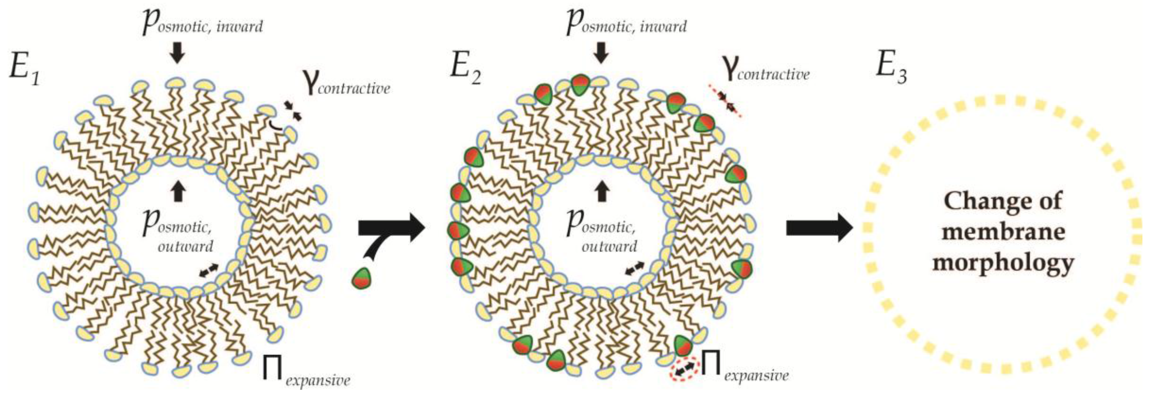 Membranes 07 00006 g008 550
