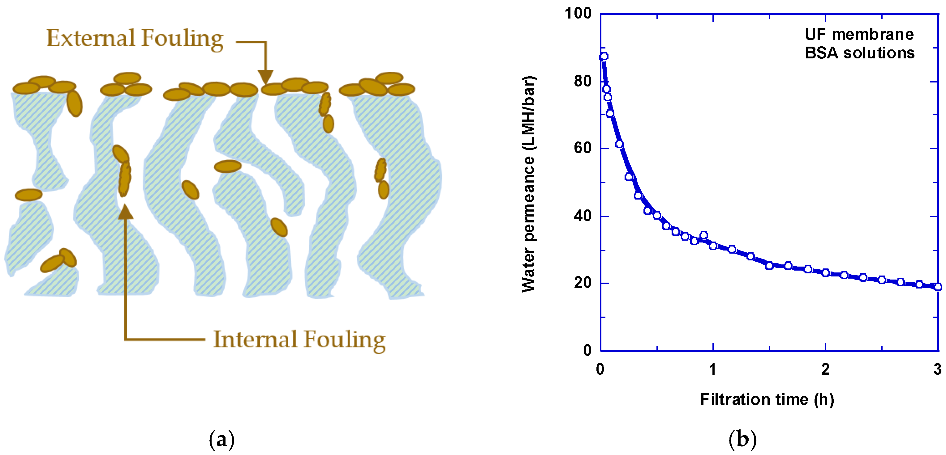 Membranes 07 00013 g001 550